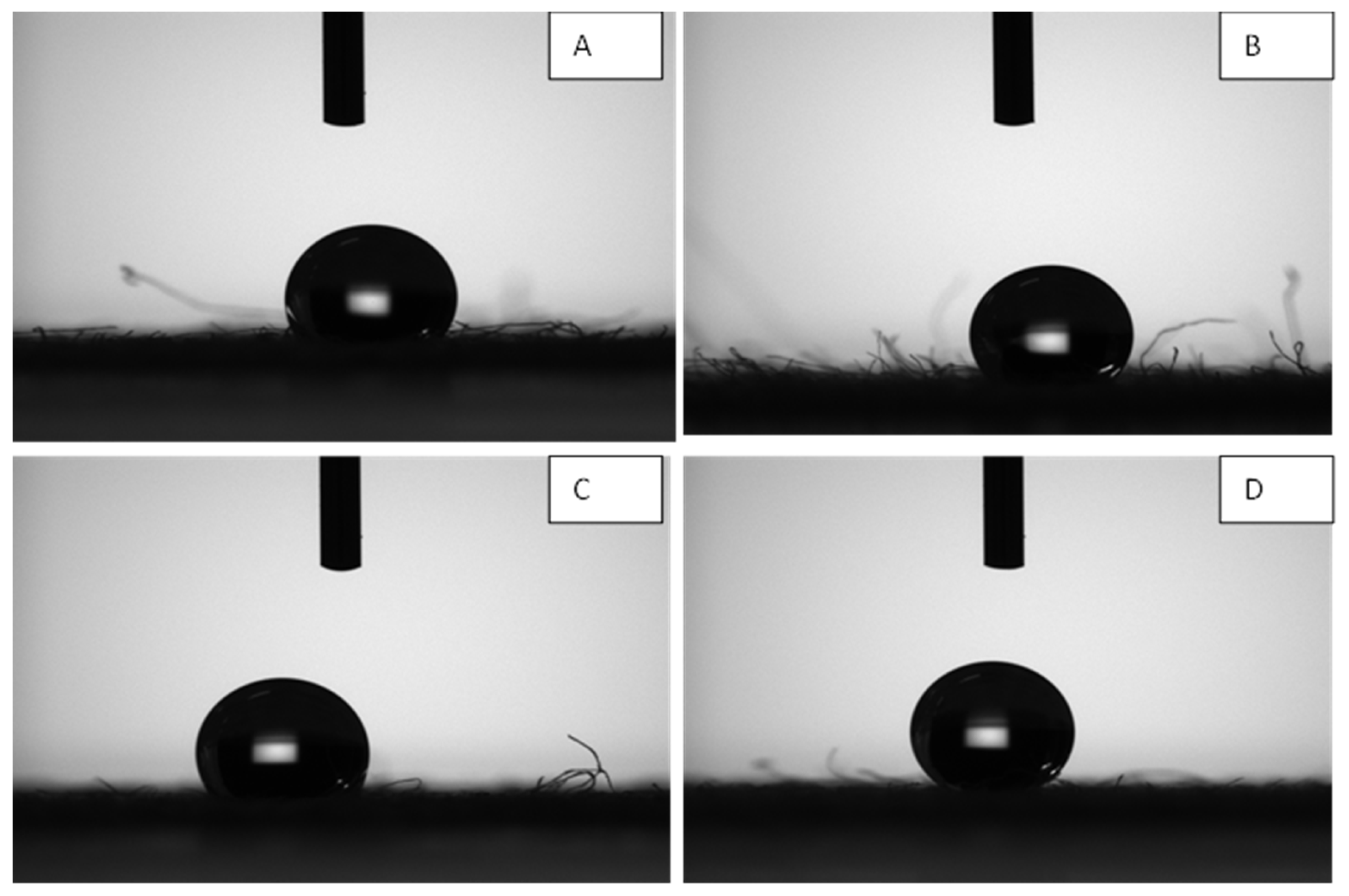 Preprints 151364 g010
