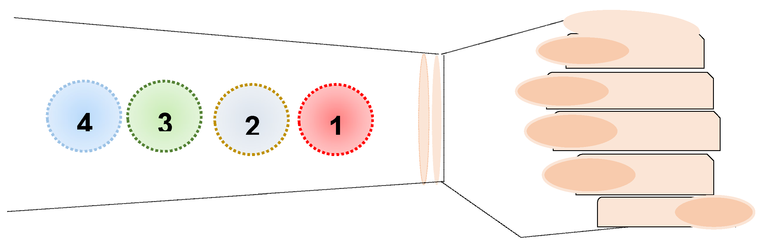 Preprints 159681 g001