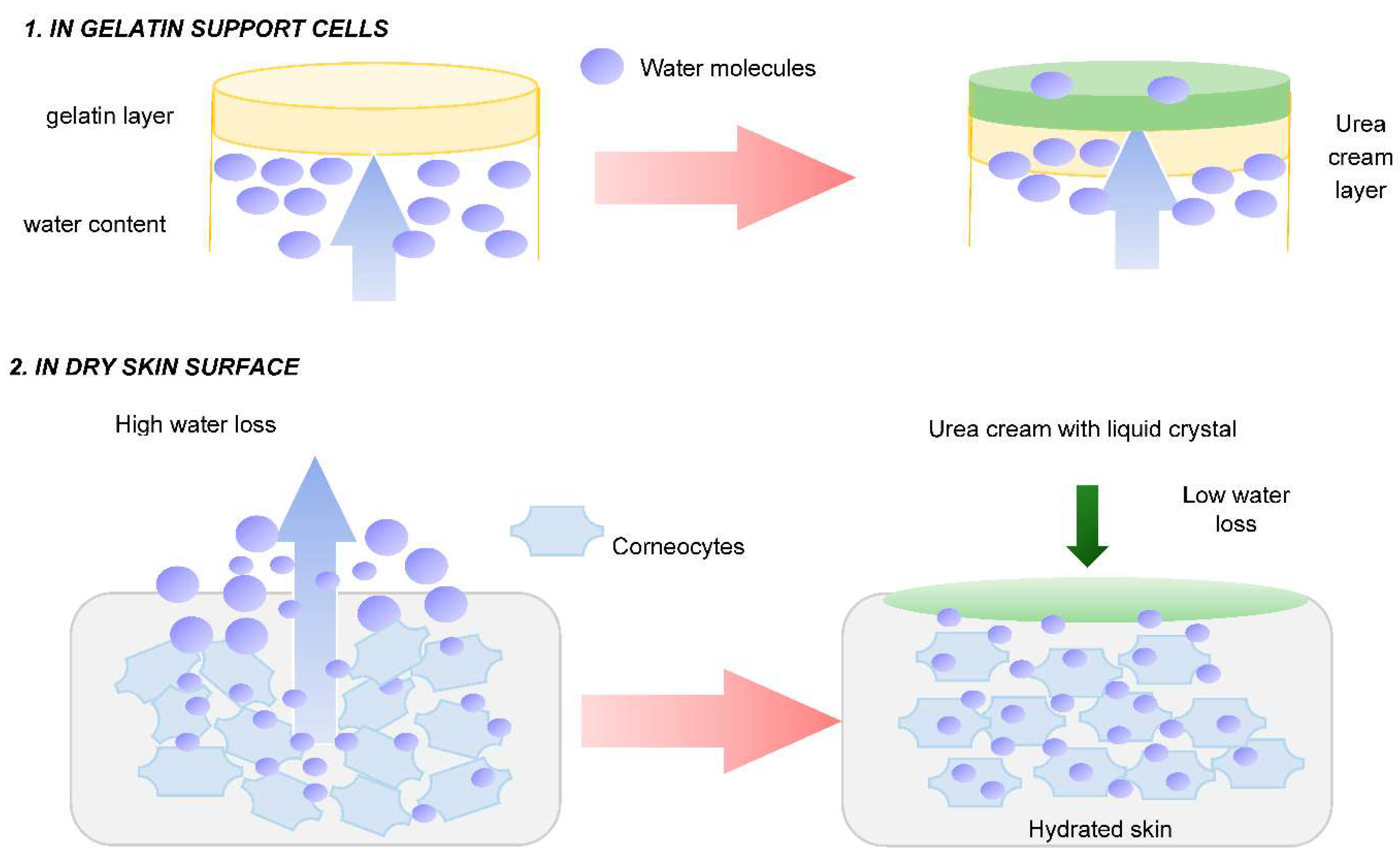 Preprints 159681 g002