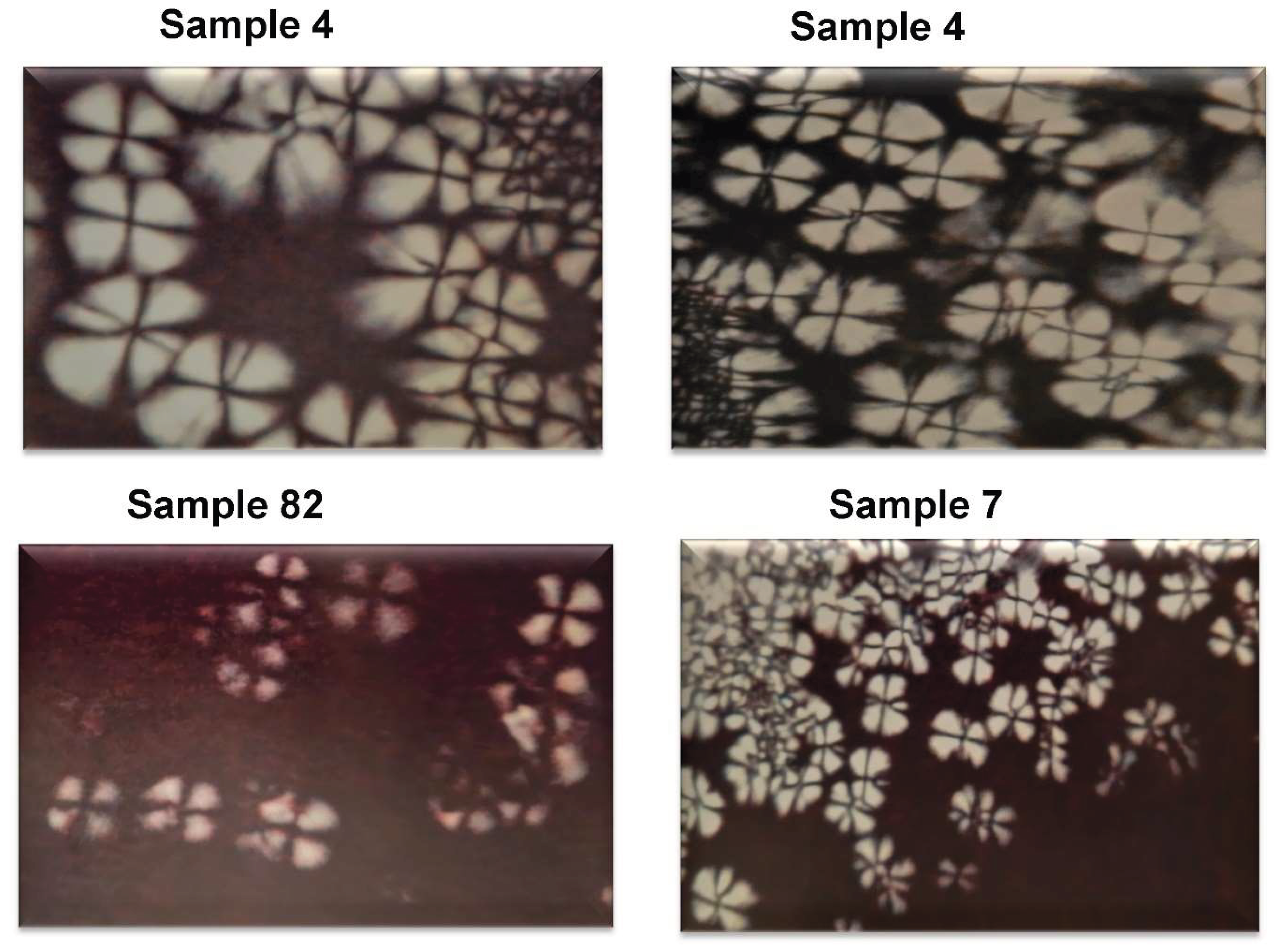Preprints 159681 g003