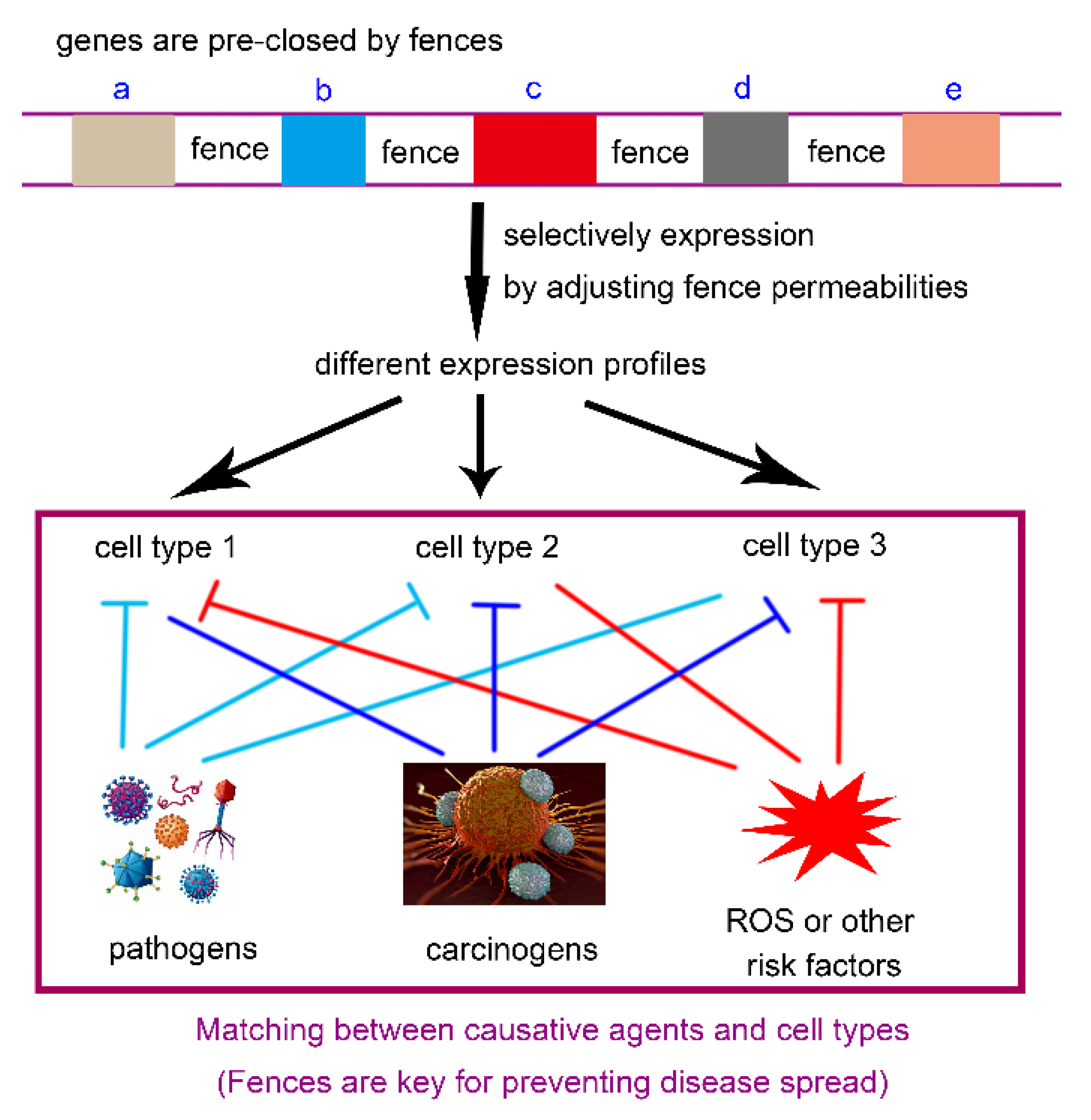 Preprints 174453 g004