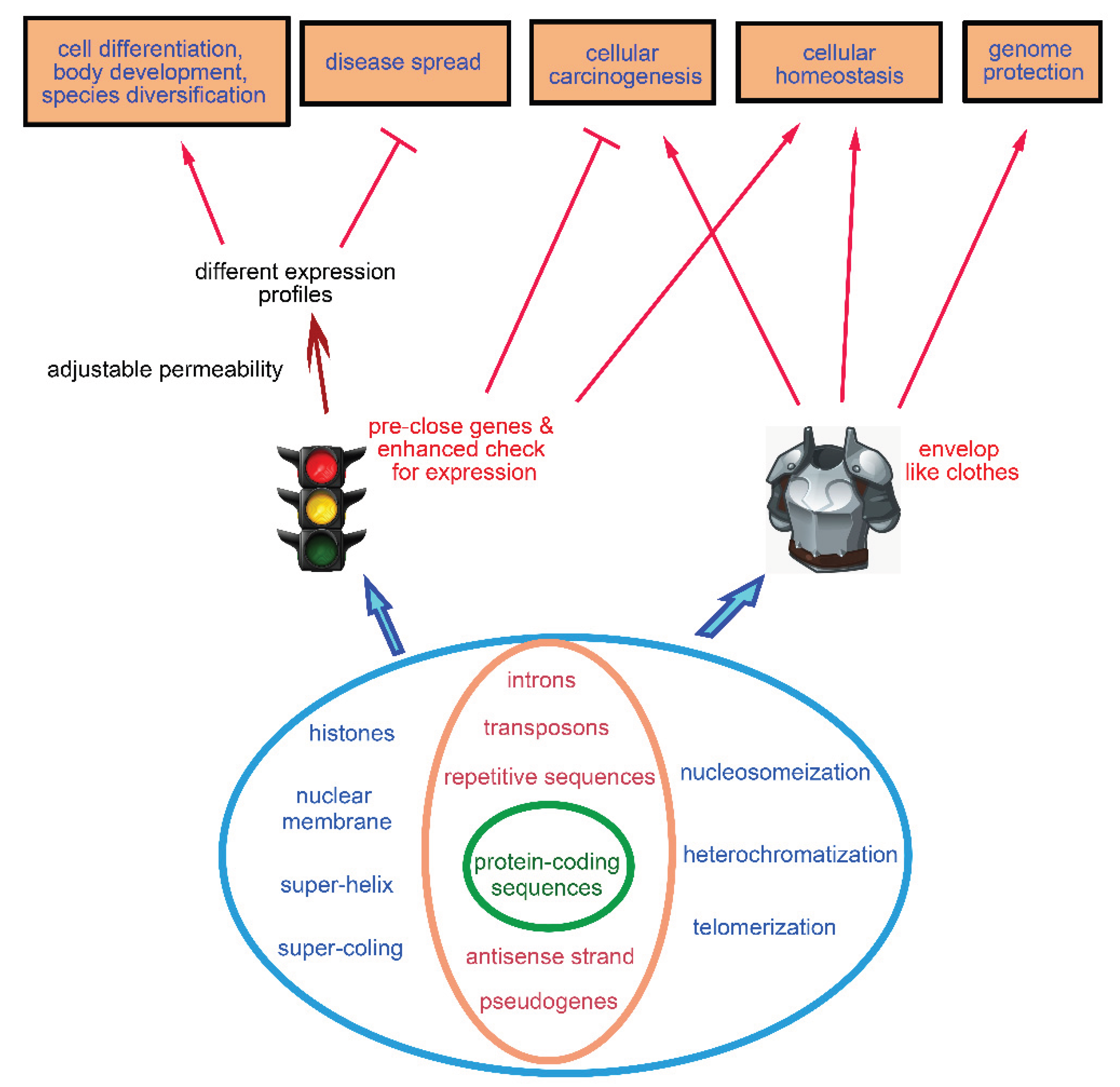 Preprints 174453 g005