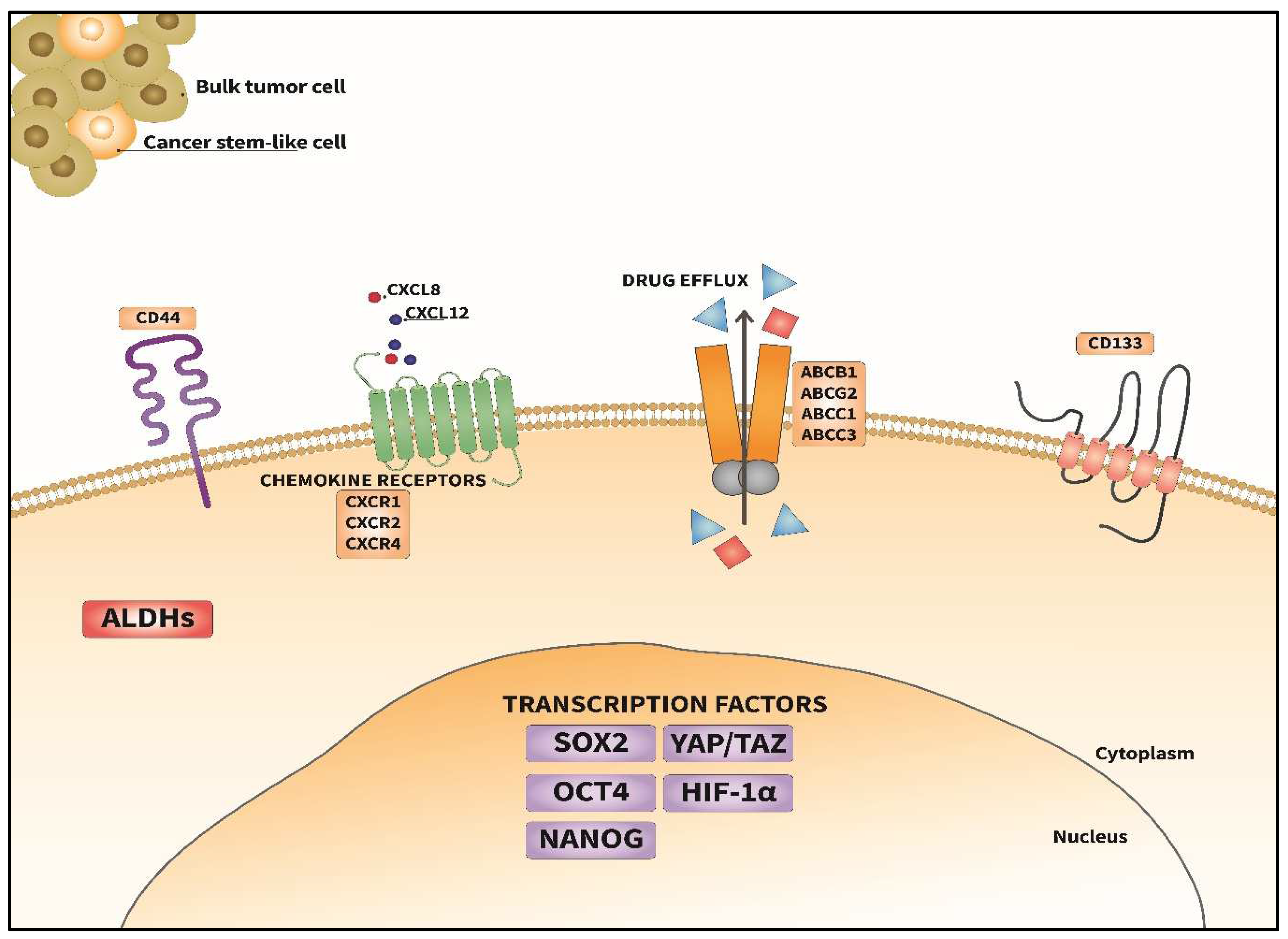 Preprints 142787 g001