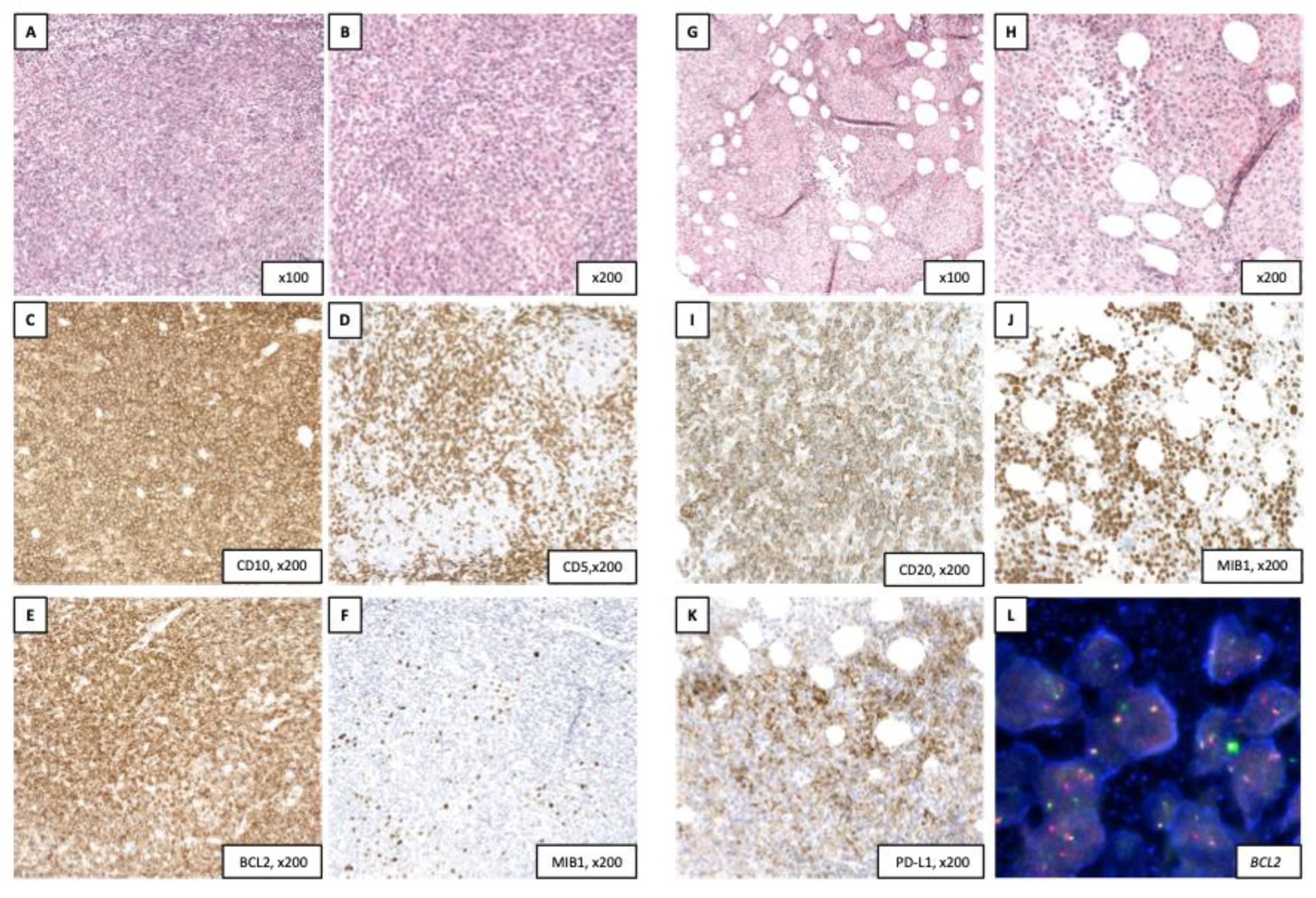 Preprints 73899 g001