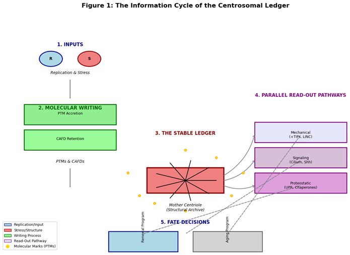 Preprints 194425 i001