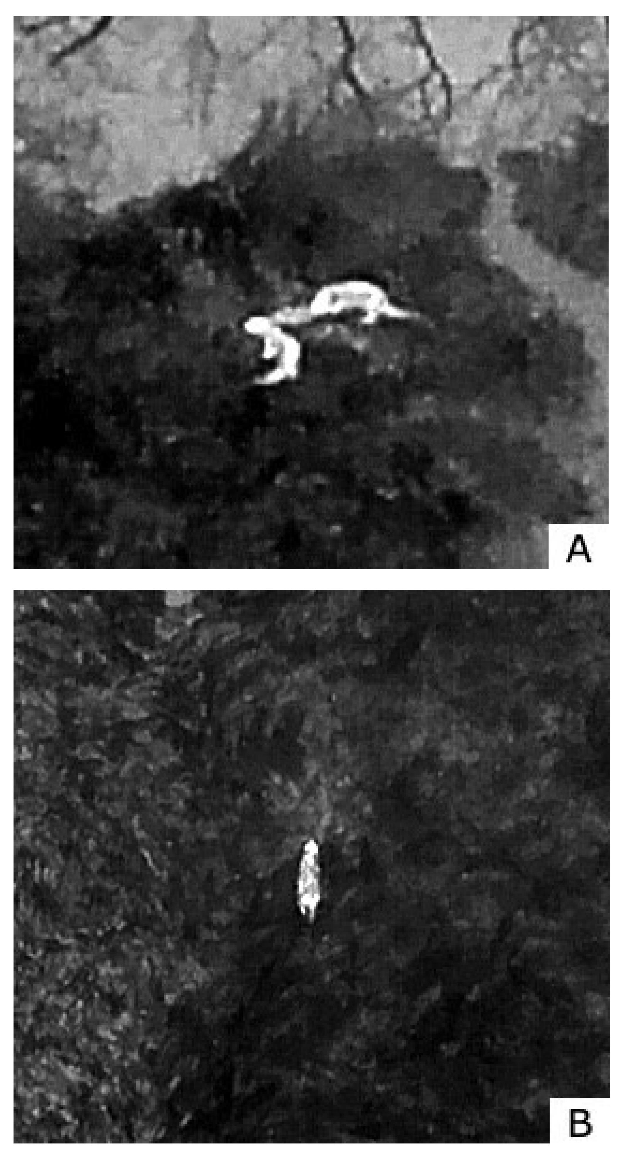 Preprints 148063 g001a