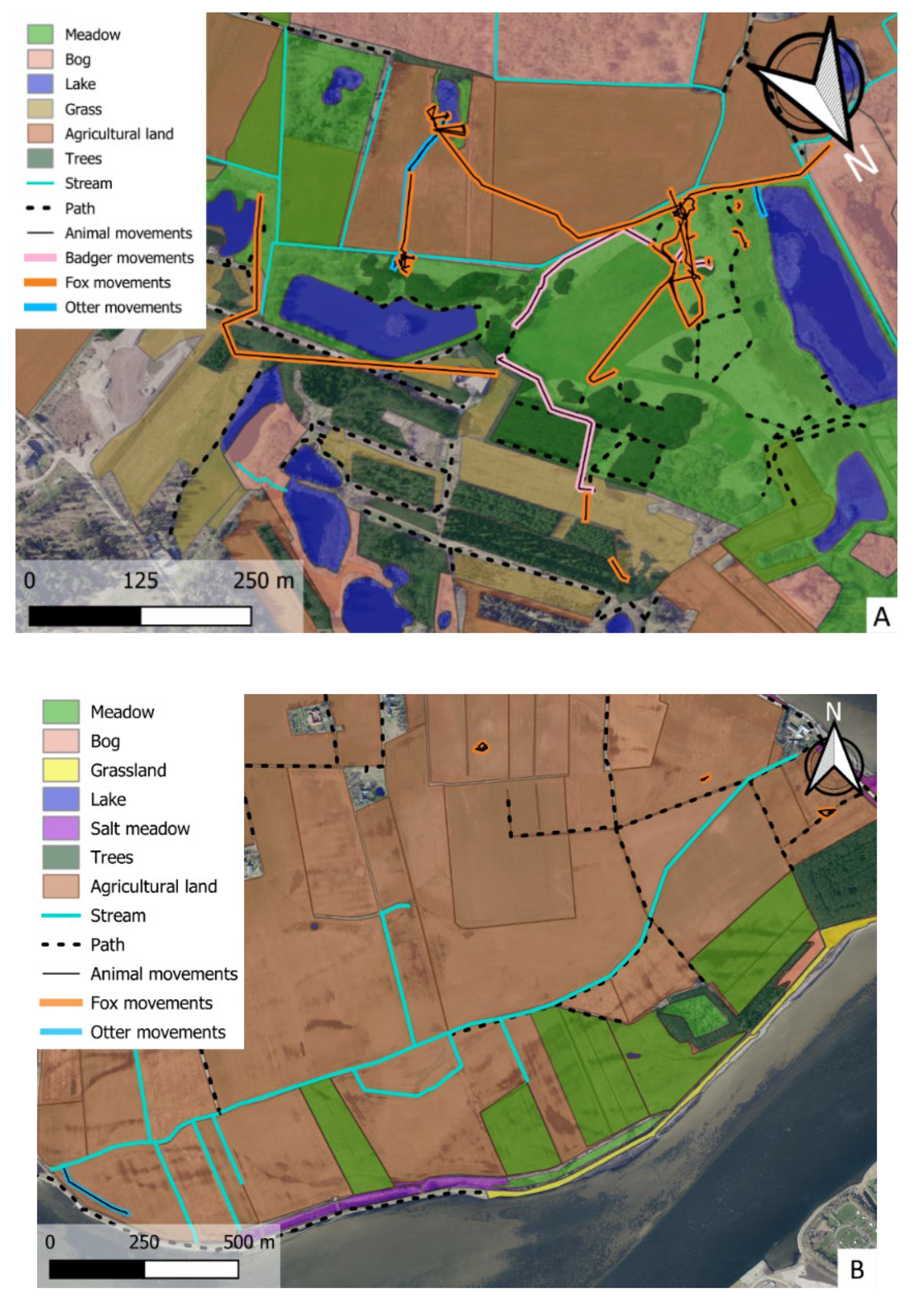 Preprints 148063 g002a