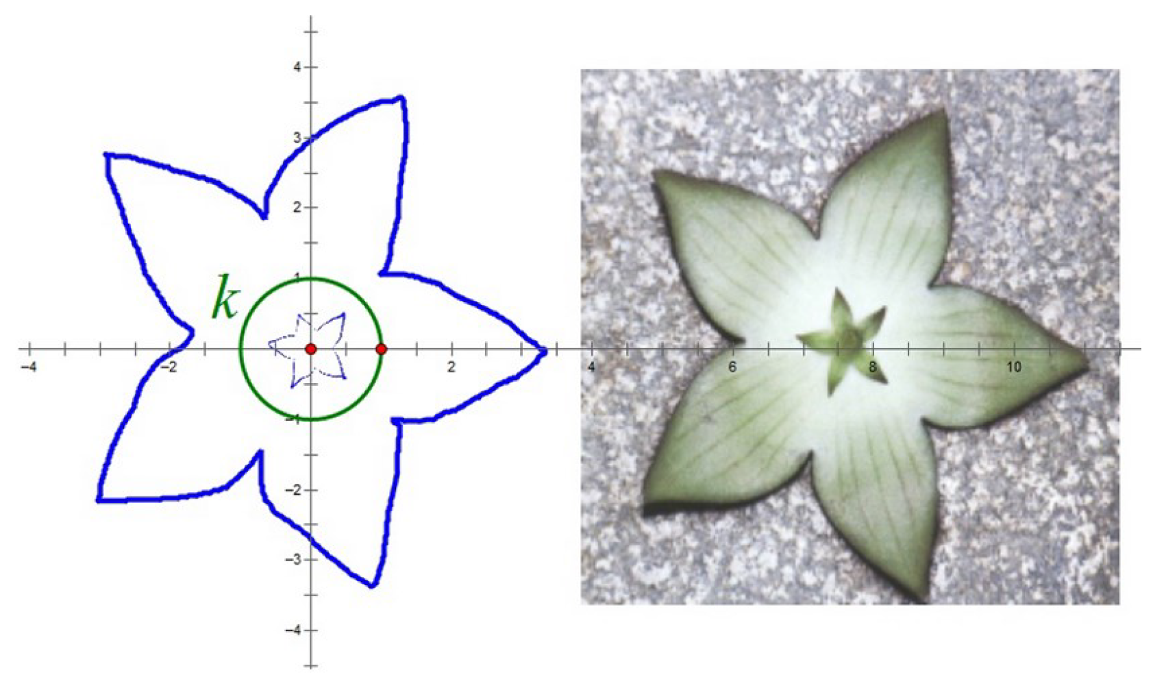 Preprints 107158 g001