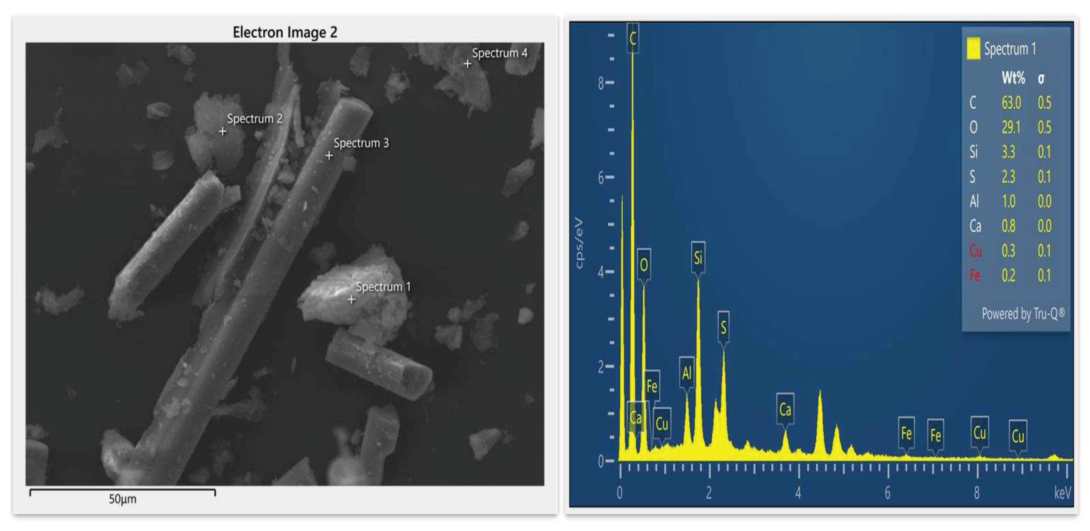 Preprints 93238 g009a