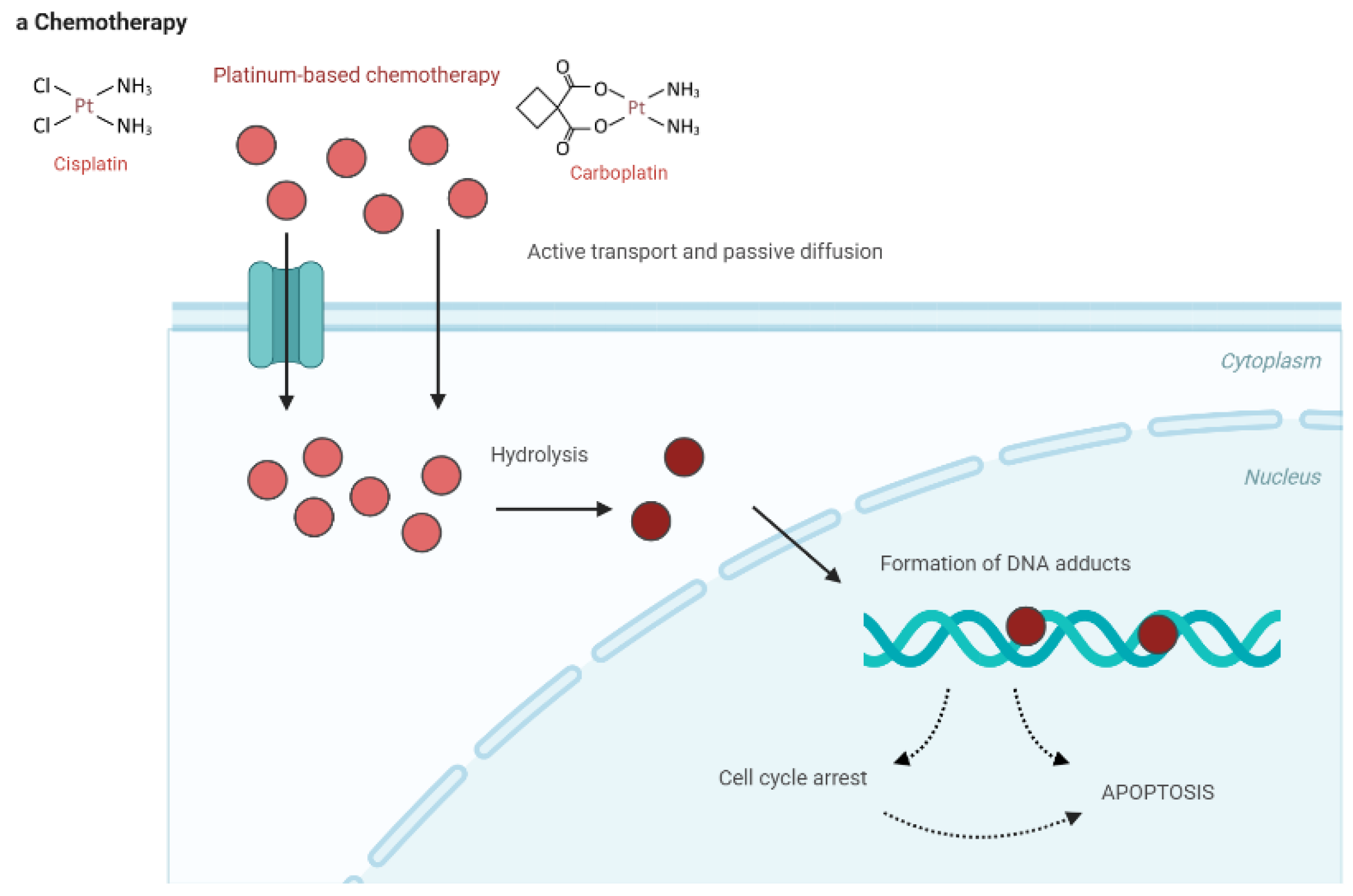 Preprints 138760 g002a