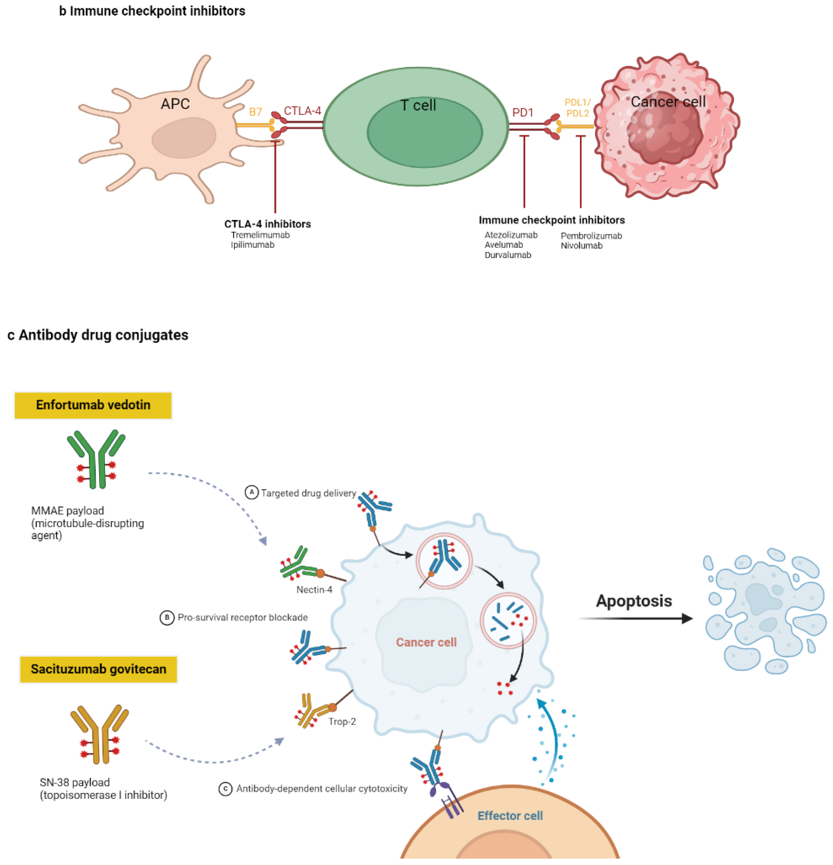 Preprints 138760 g002b