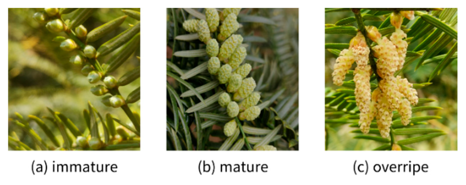 Preprints 195430 g001