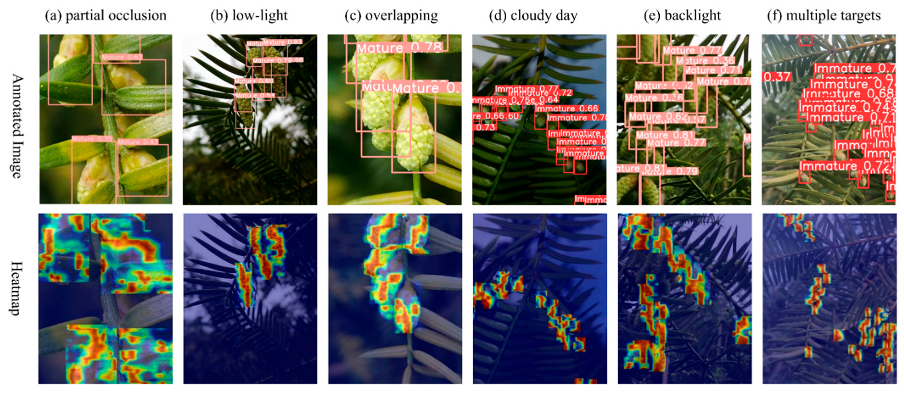 Preprints 195430 g022