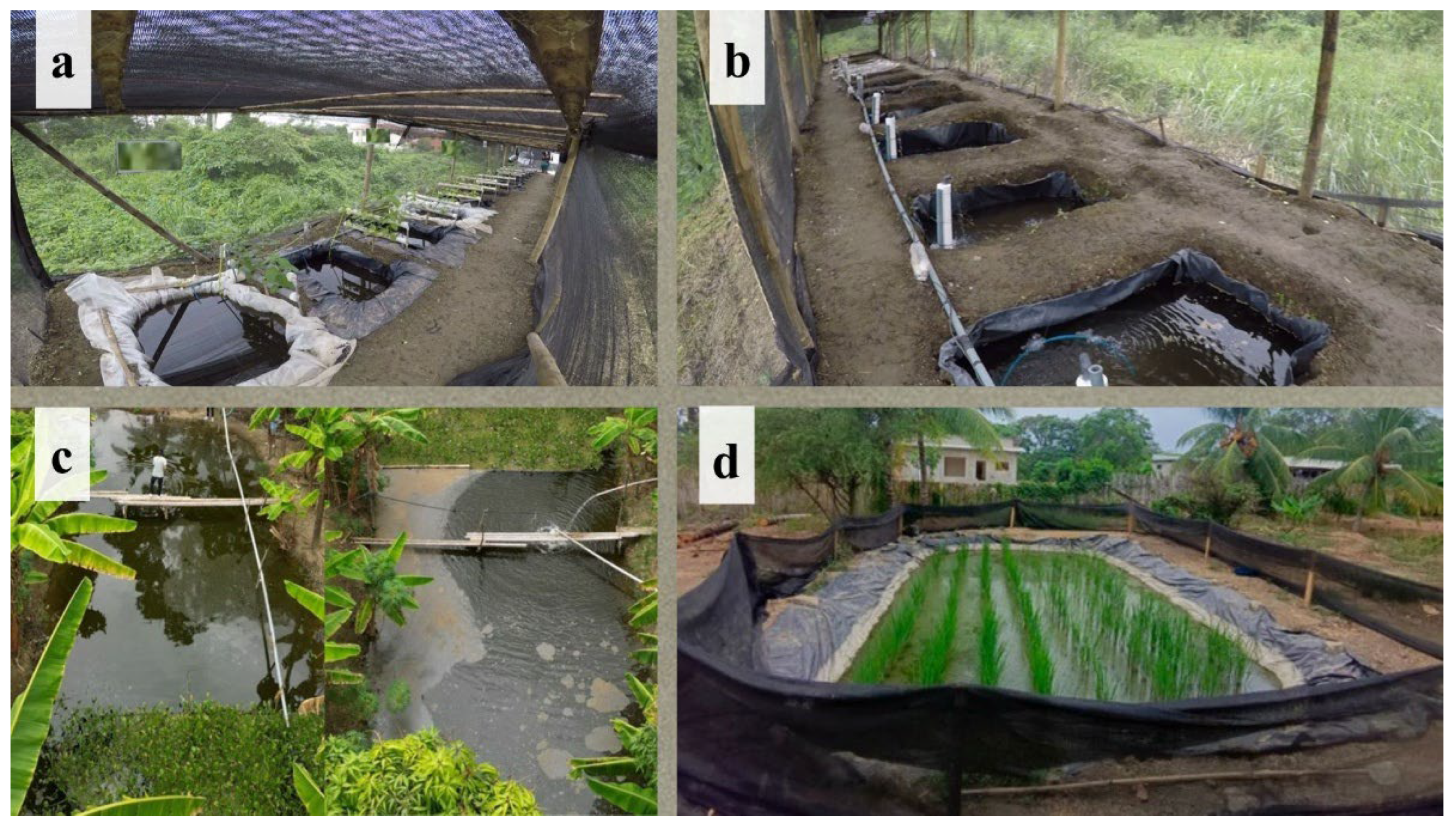 Preprints 200328 g002