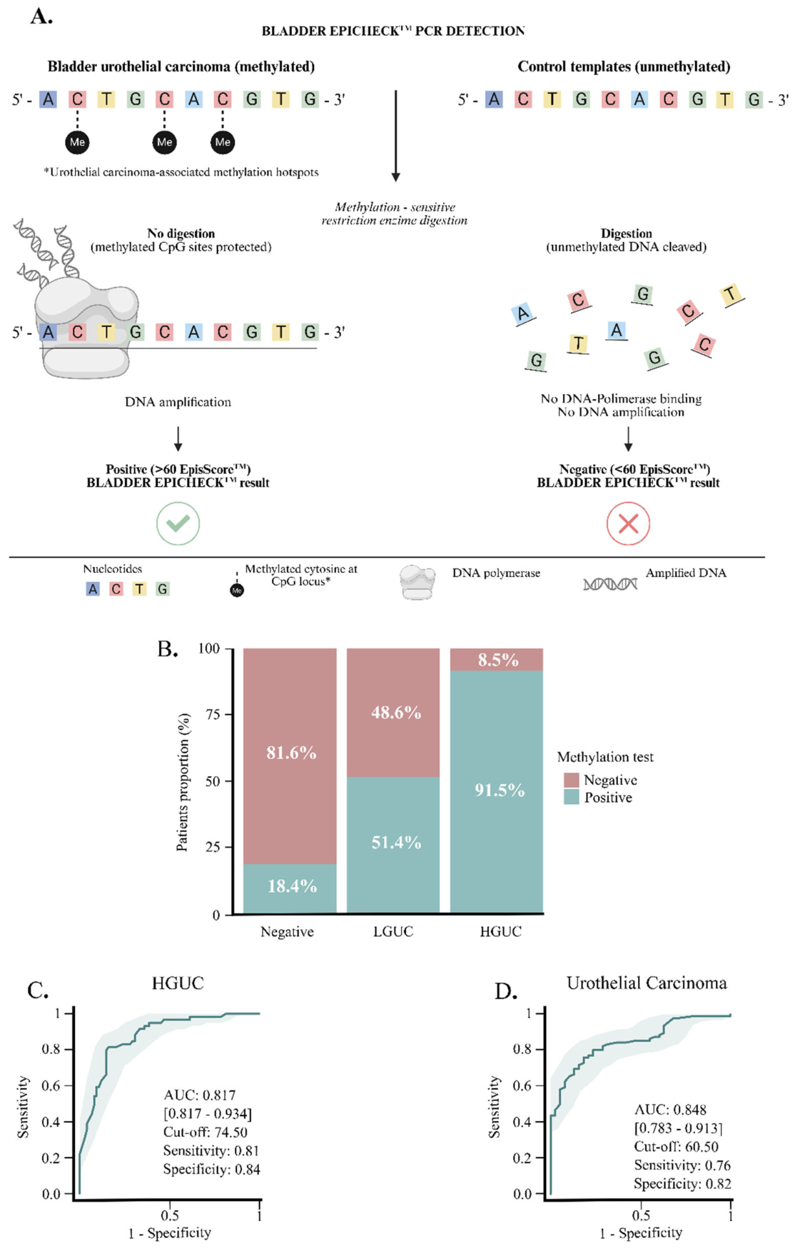 Preprints 231362 g001 Preprints 231362 g001