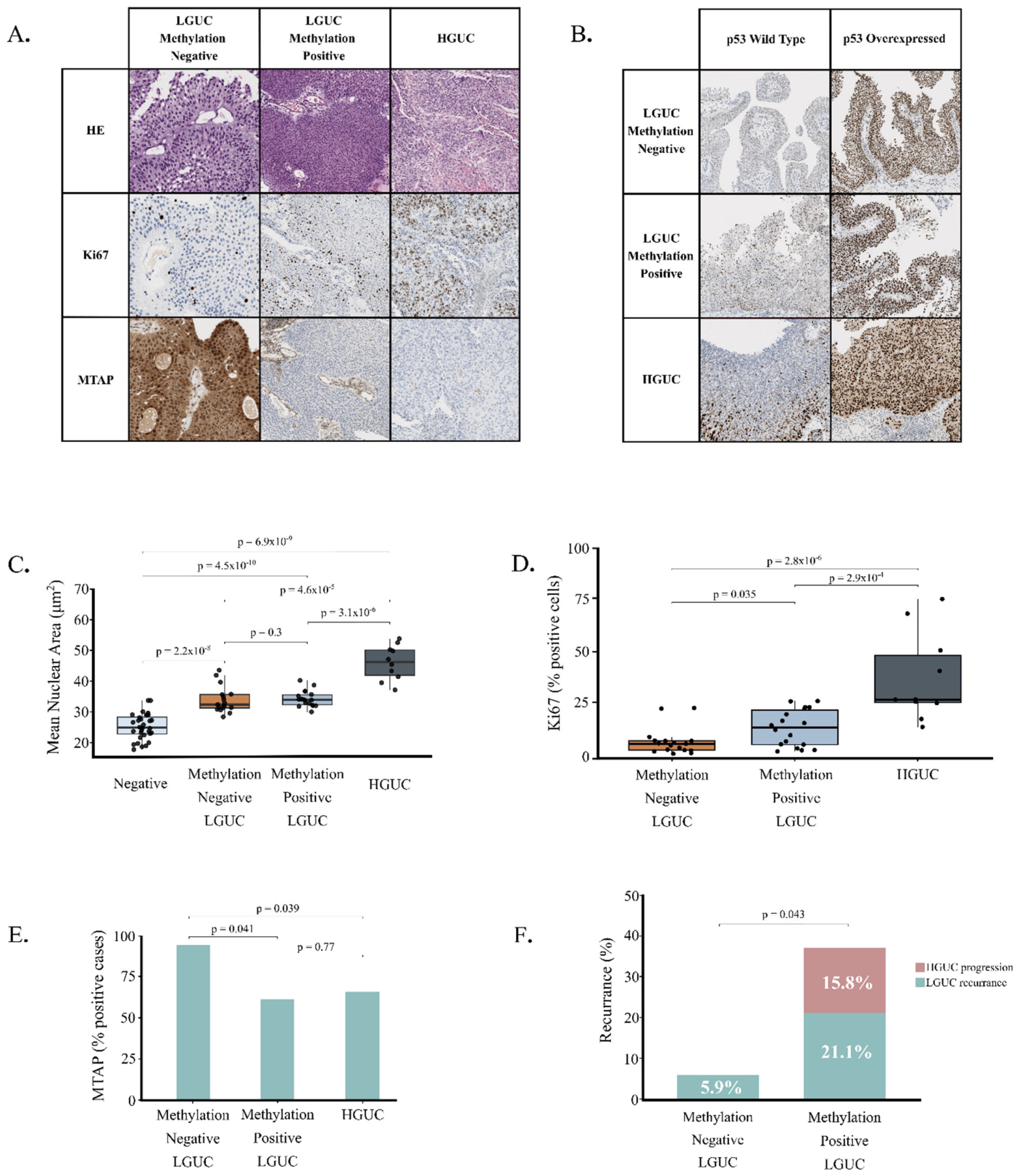Preprints 231362 g003 Preprints 231362 g003
