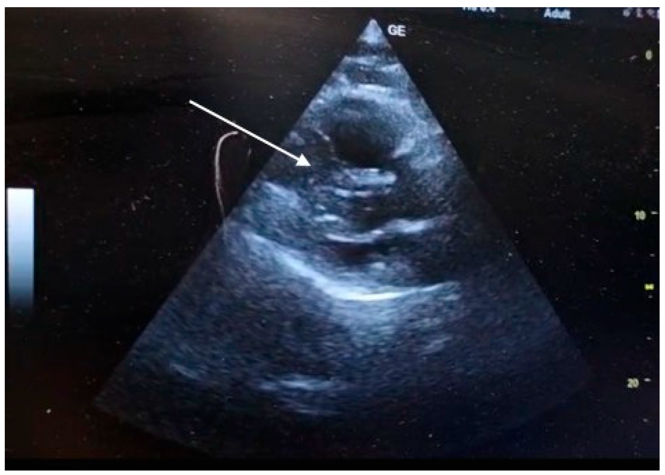 Preprints 185915 g001