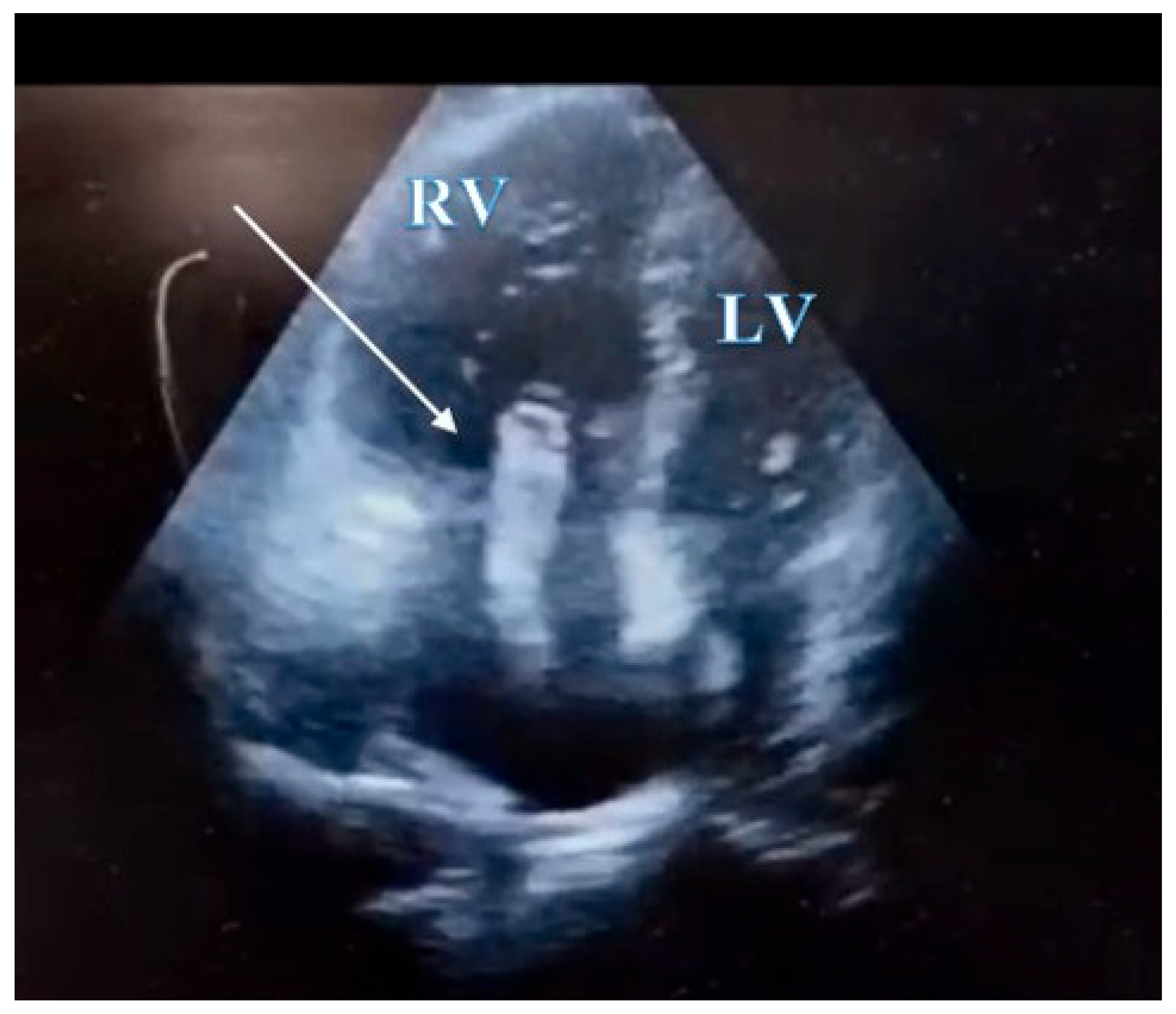 Preprints 185915 g003