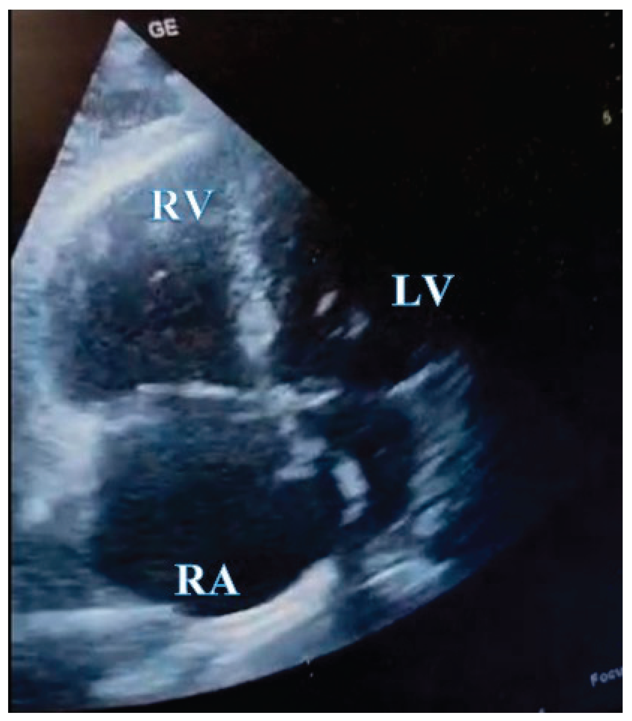 Preprints 185915 g005