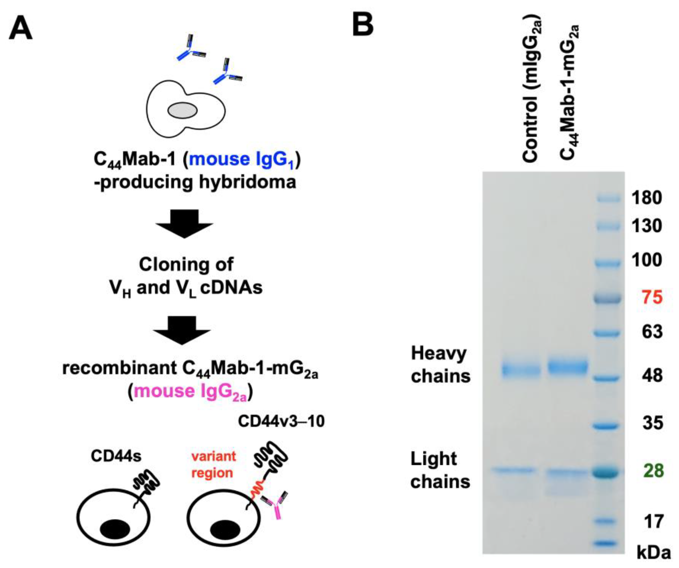 Preprints 173978 g001