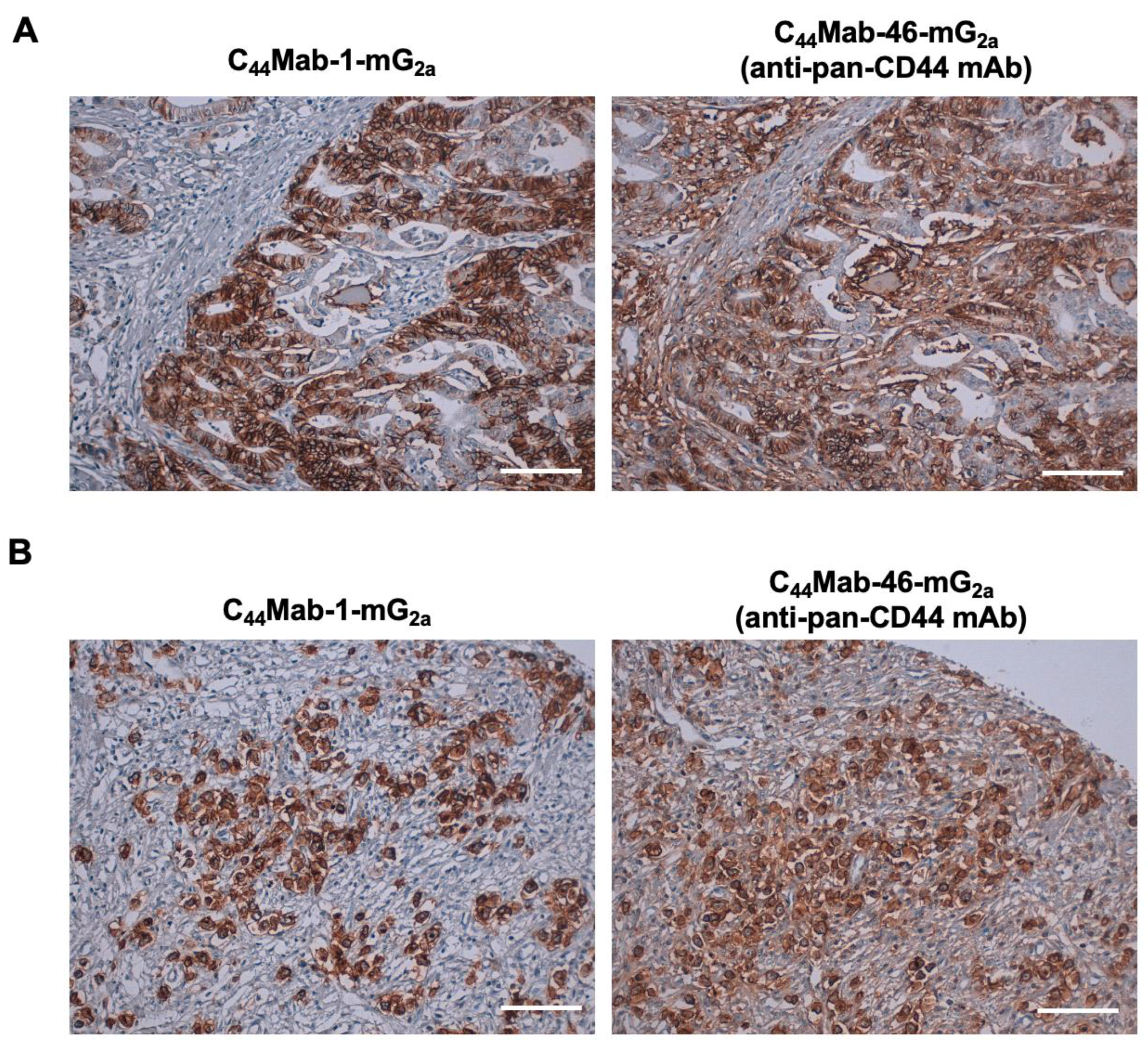 Preprints 173978 g004