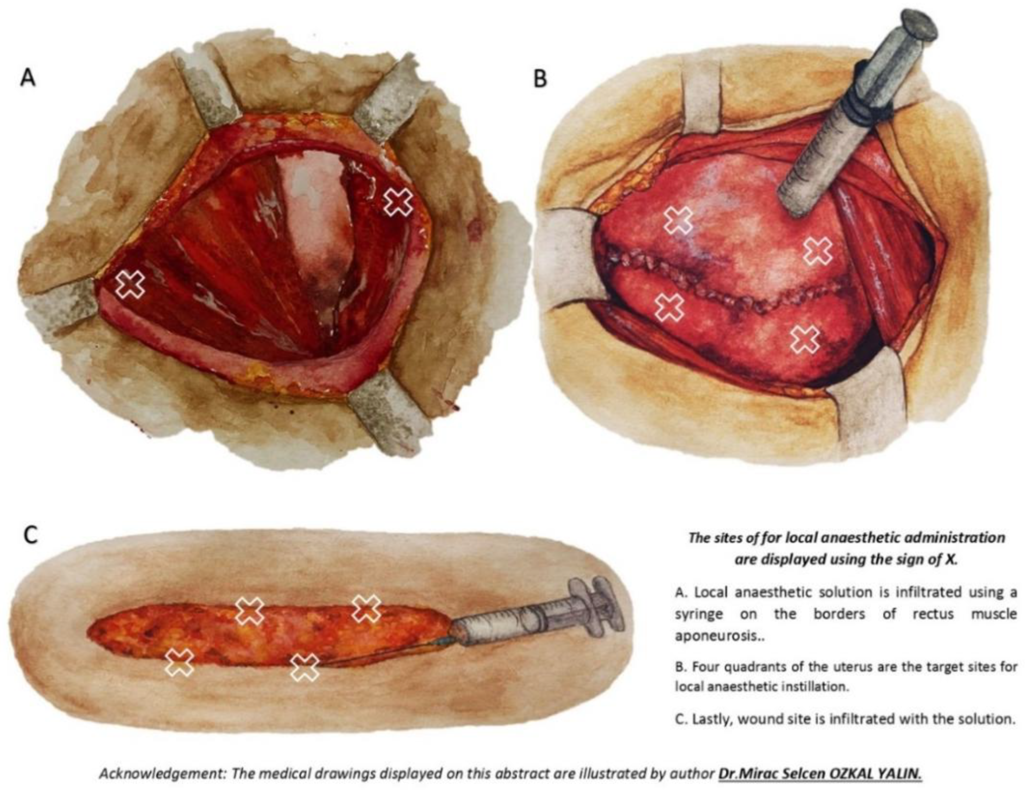 Preprints 152506 g001