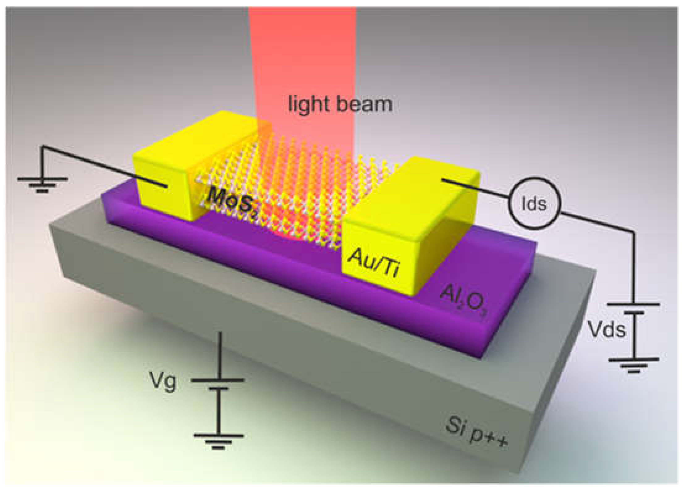 Preprints 144554 g001