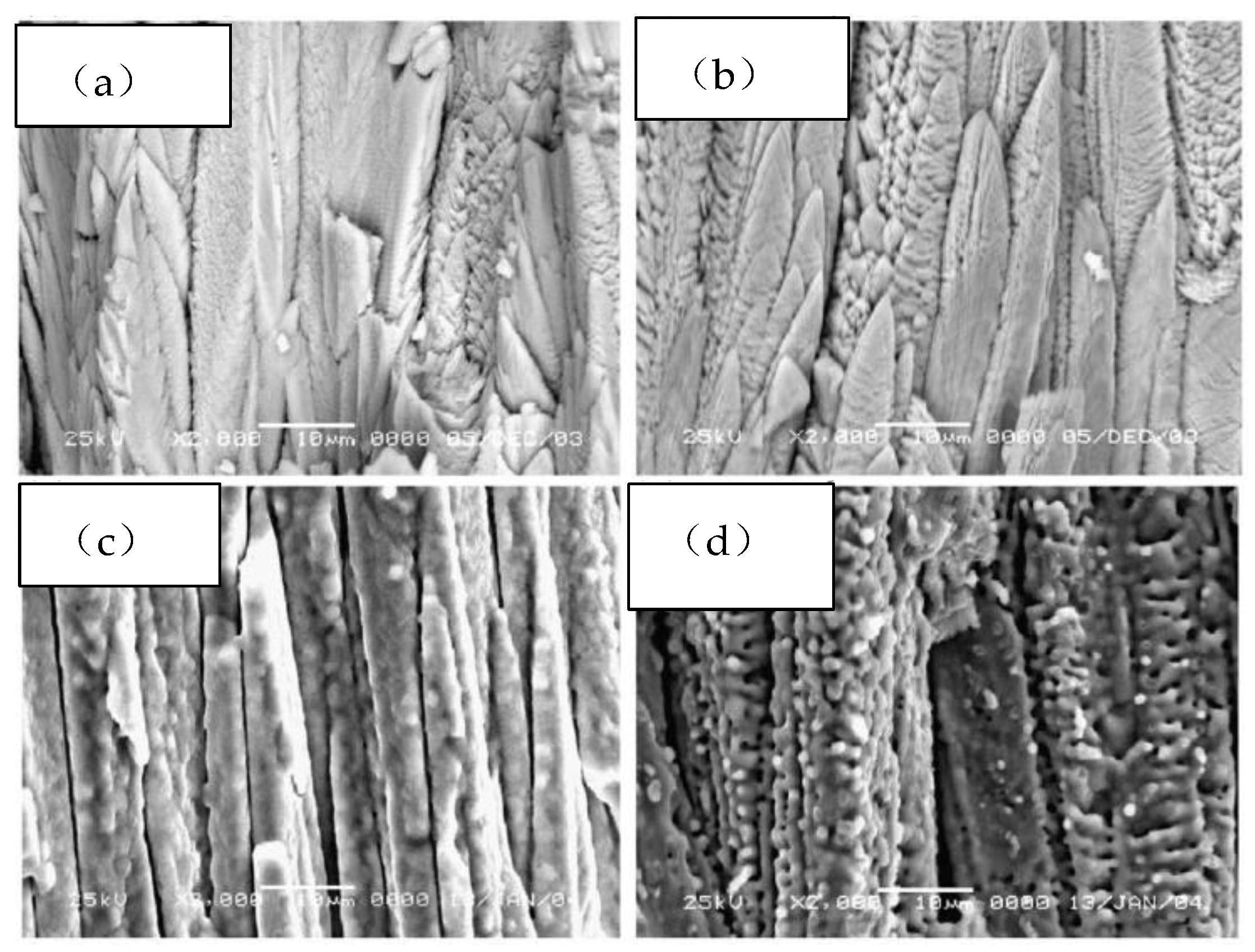 Preprints 210273 g001