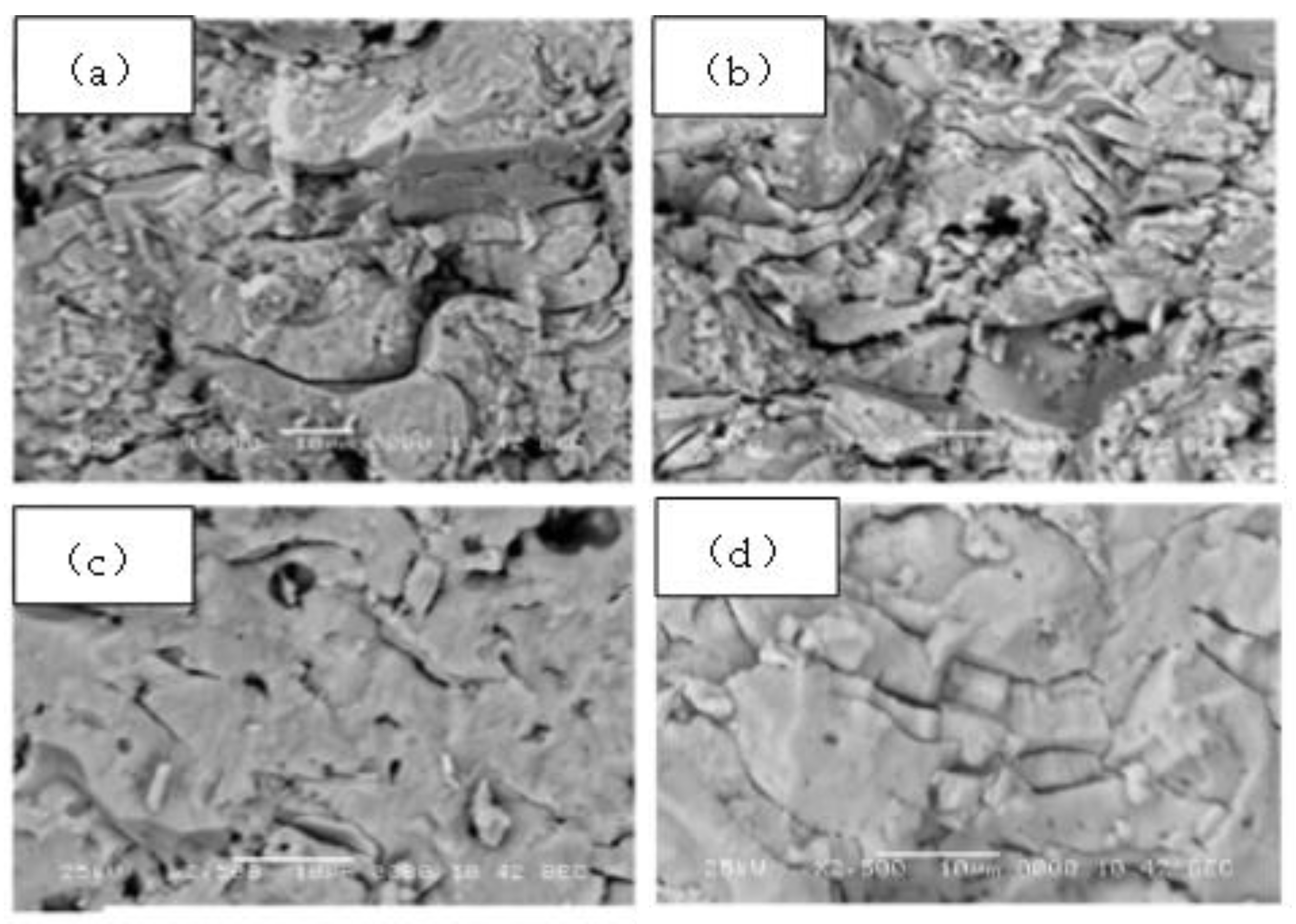 Preprints 210273 g002