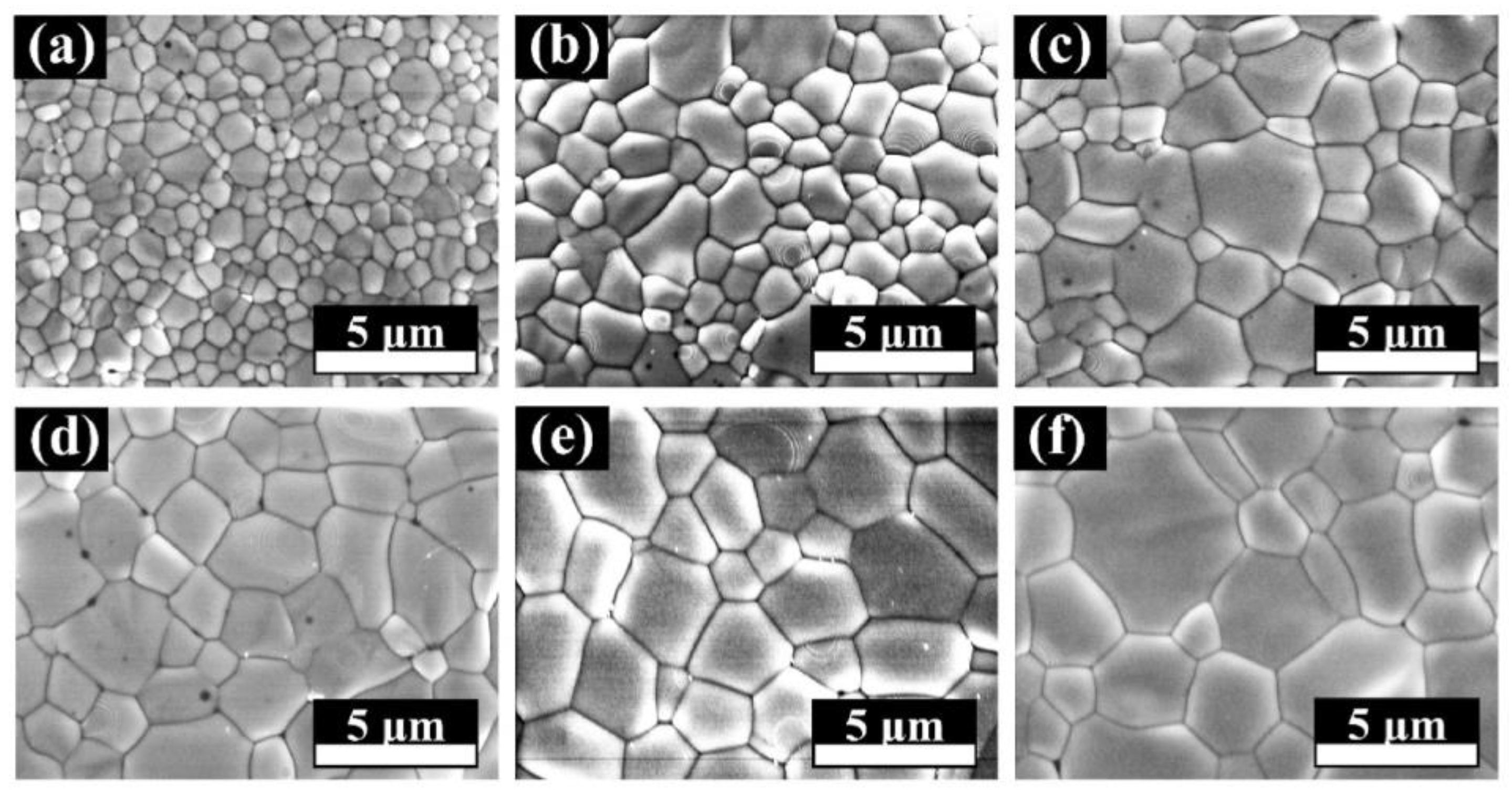 Preprints 210273 g003