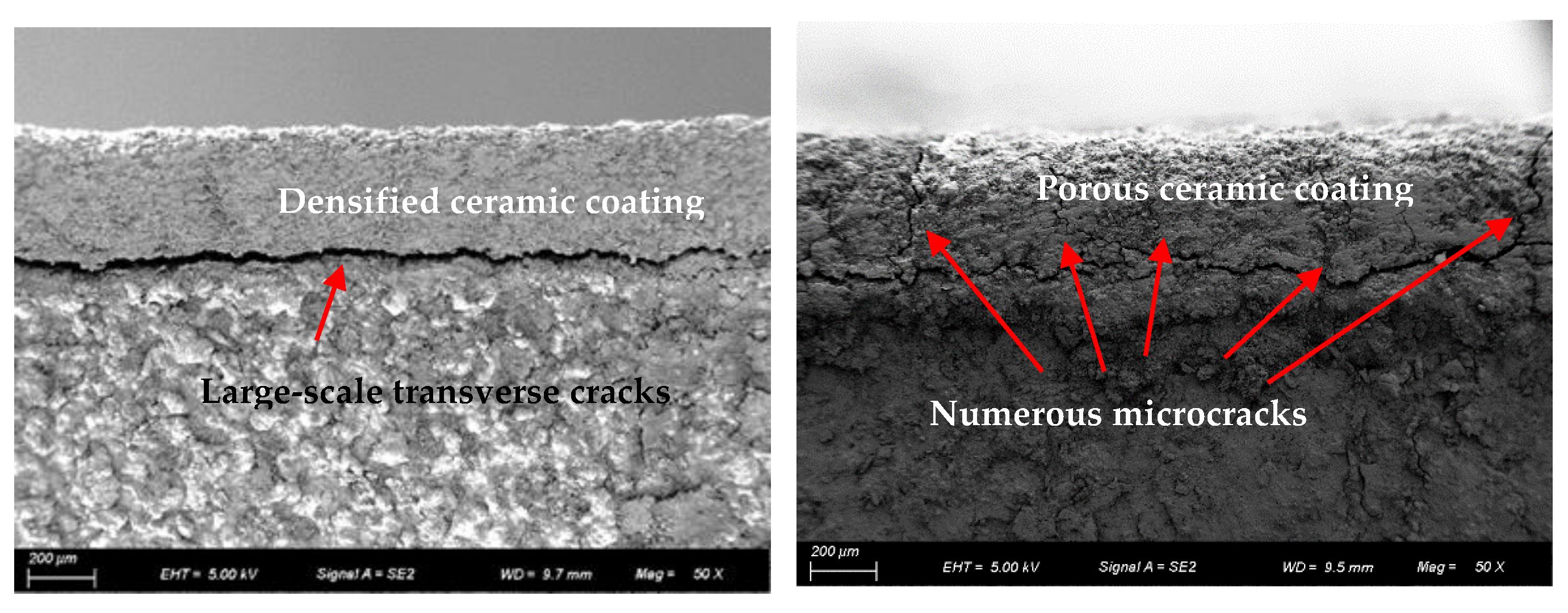 Preprints 210273 g007
