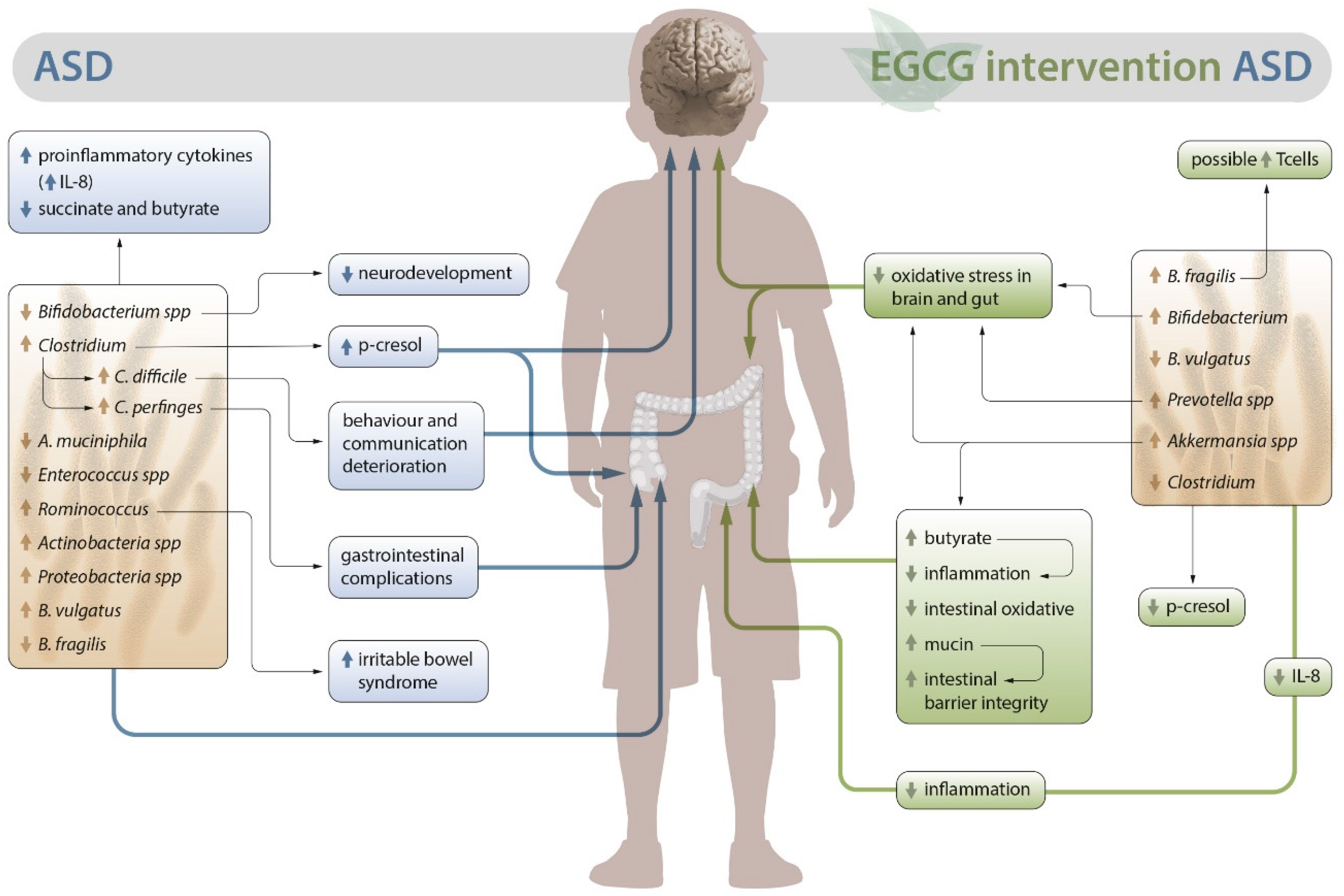 Preprints 76608 g001