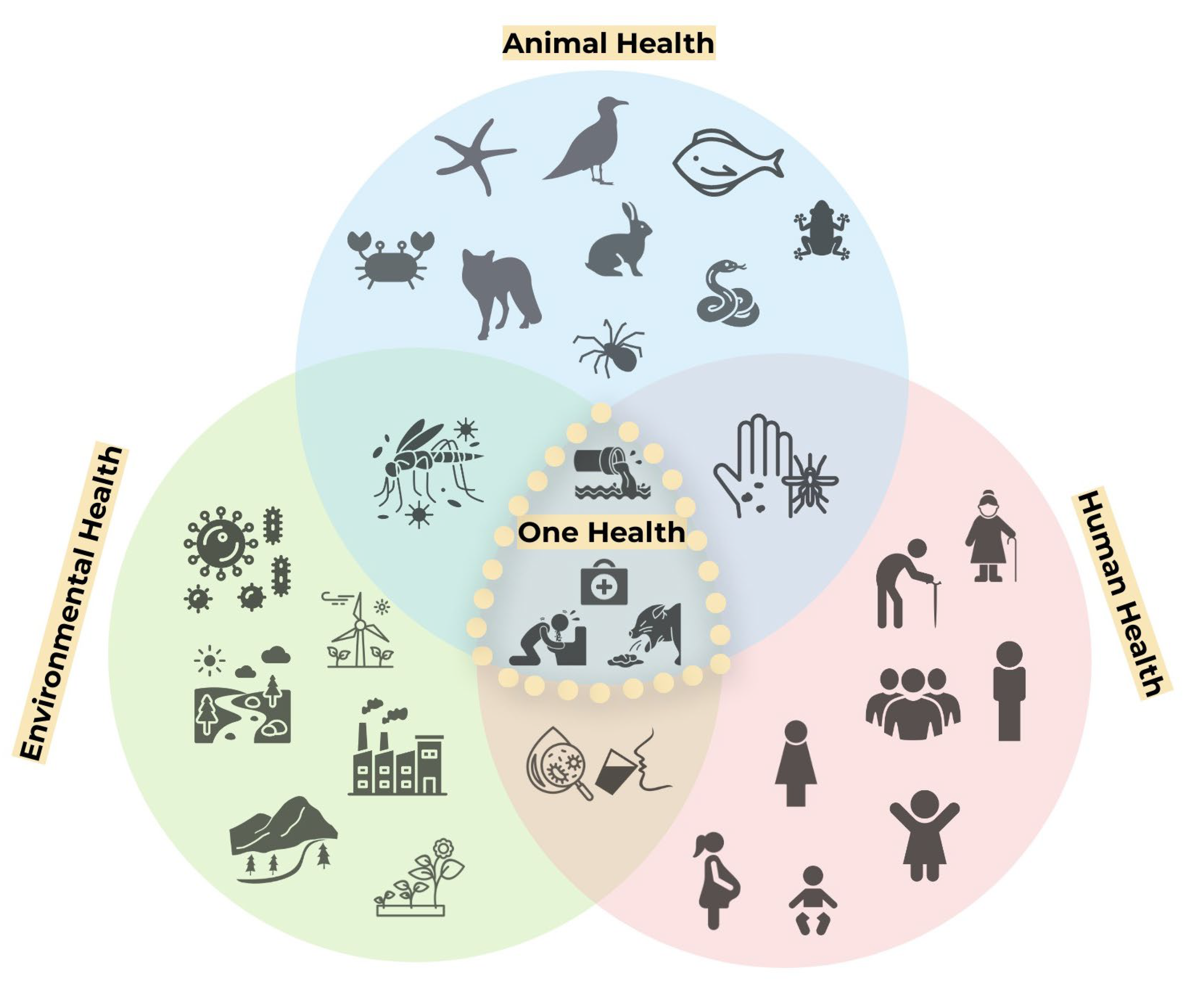 Preprints 113512 g001
