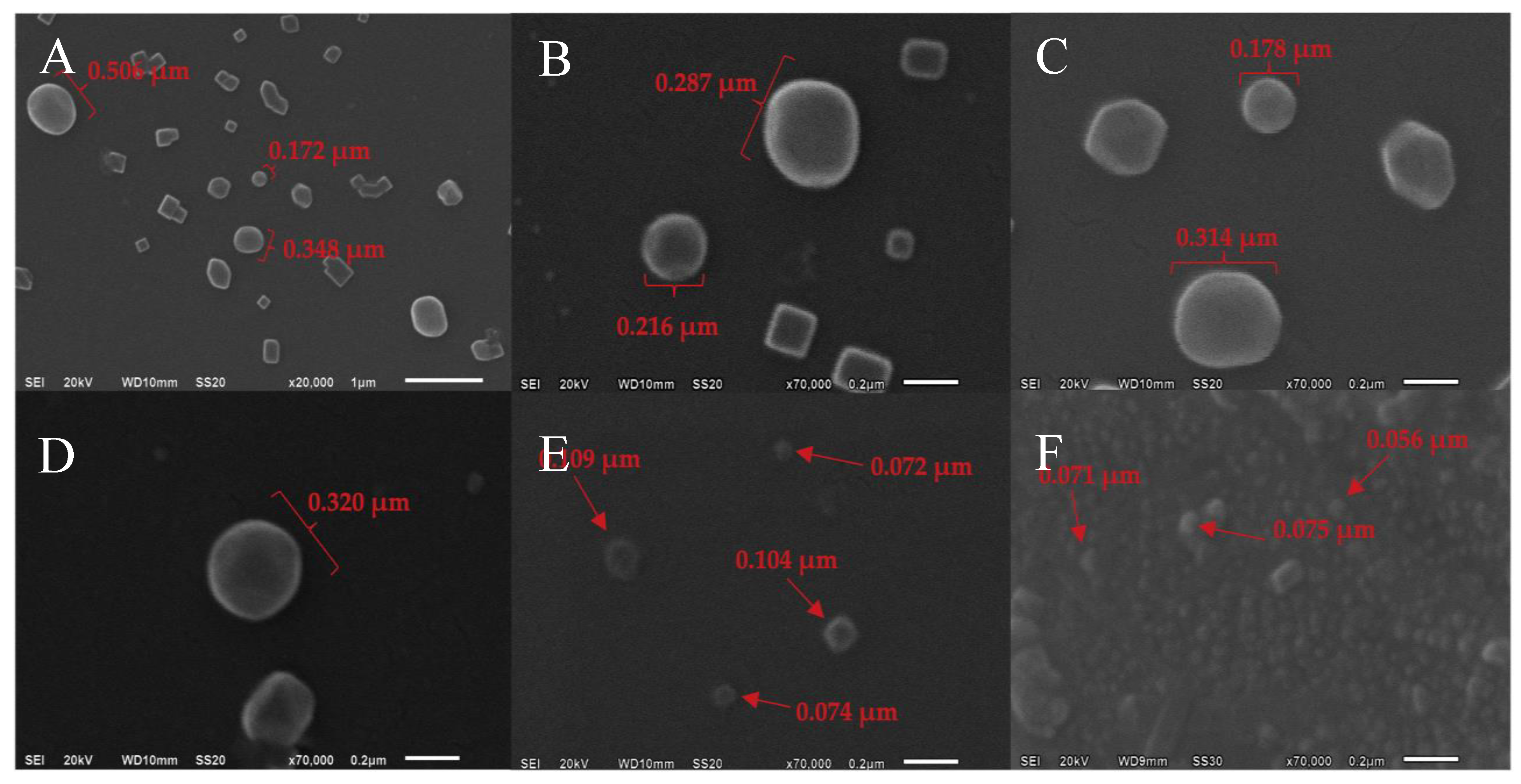Preprints 153206 g001