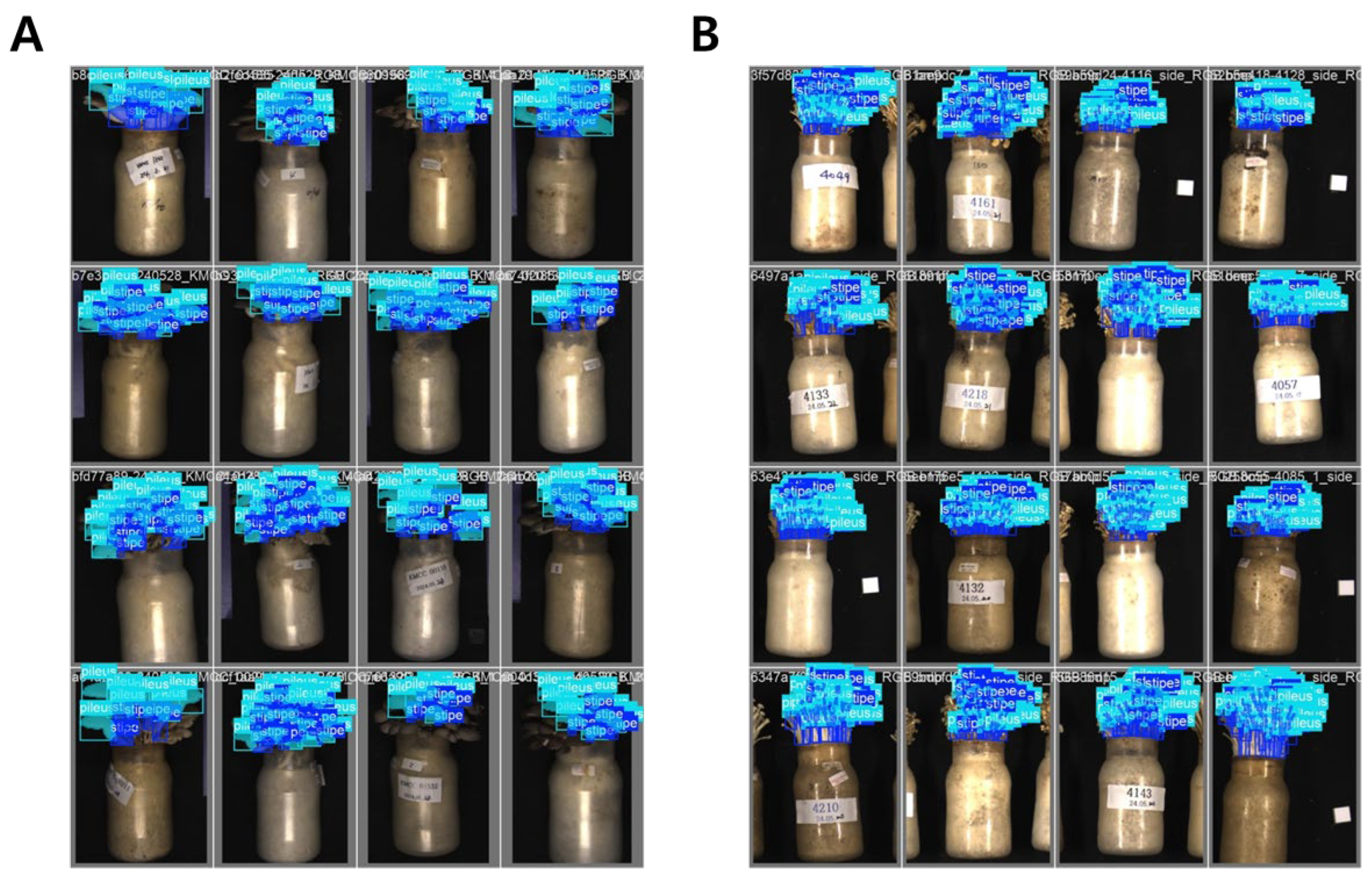 Preprints 189947 g002