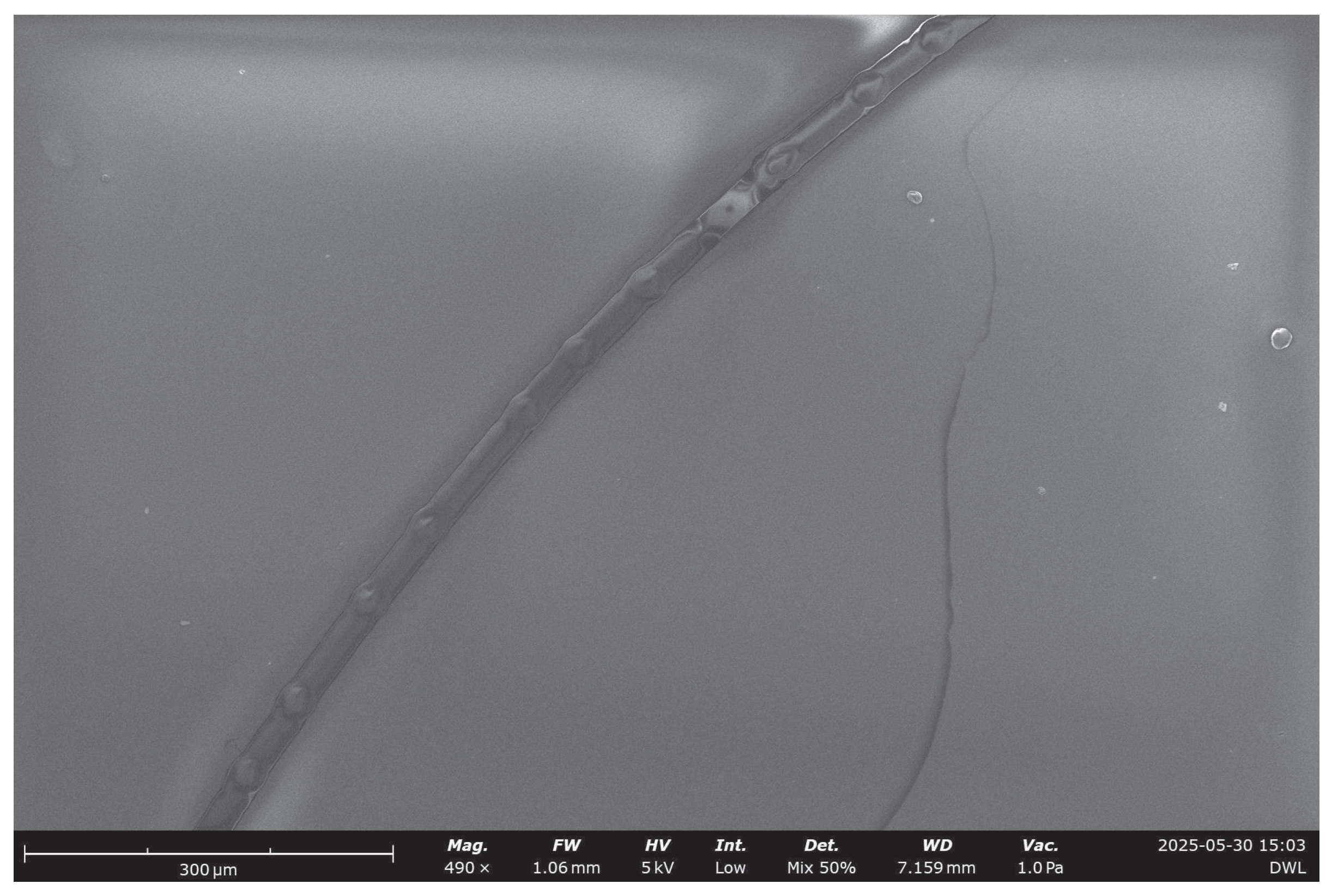 Preprints 189719 g019