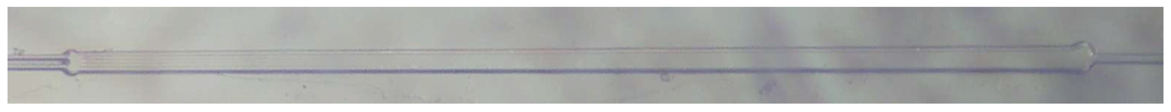 Preprints 189719 g021