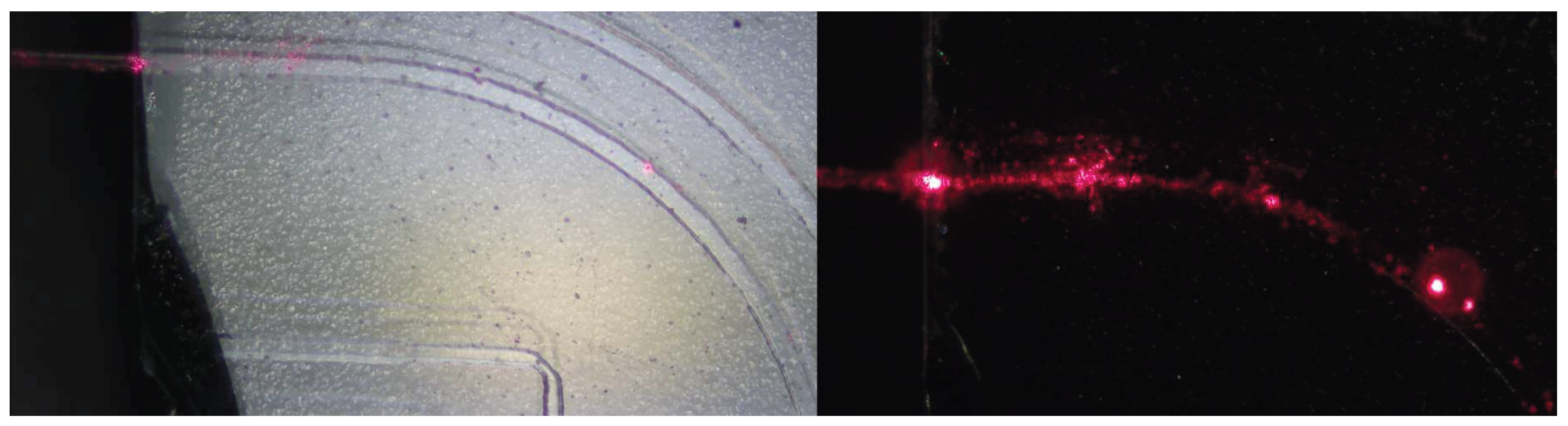 Preprints 189719 g022