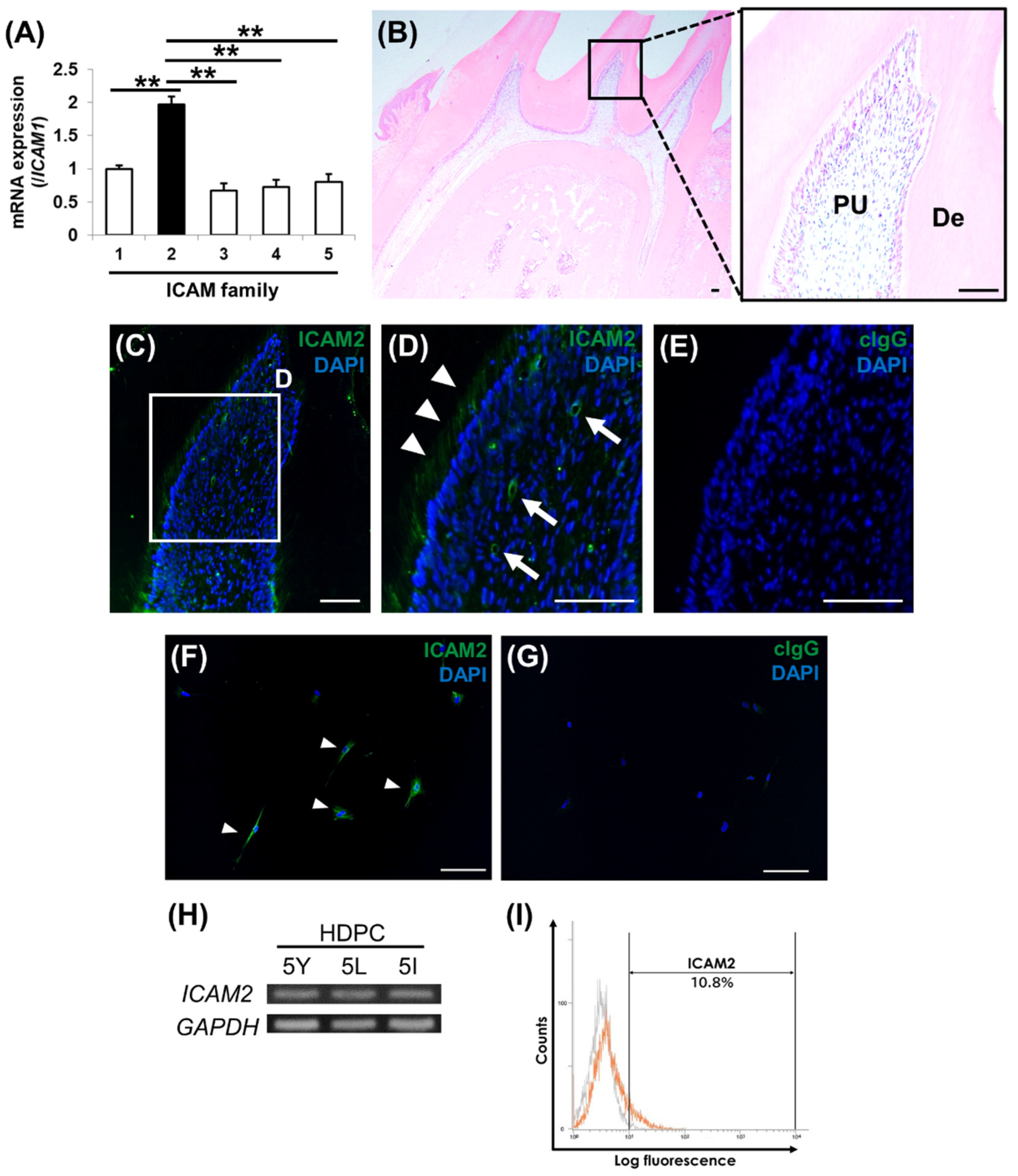 Preprints 173842 g001