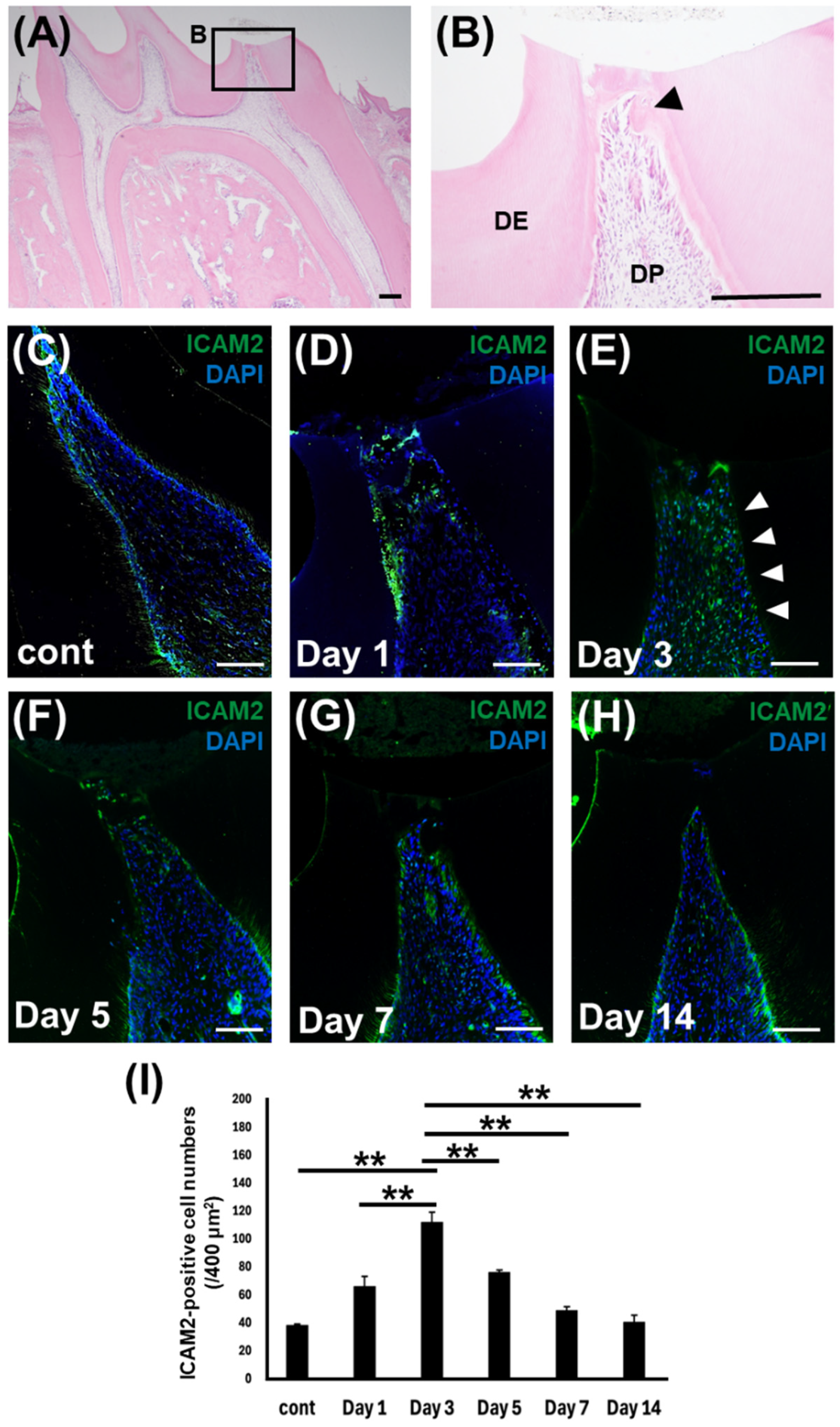 Preprints 173842 g002