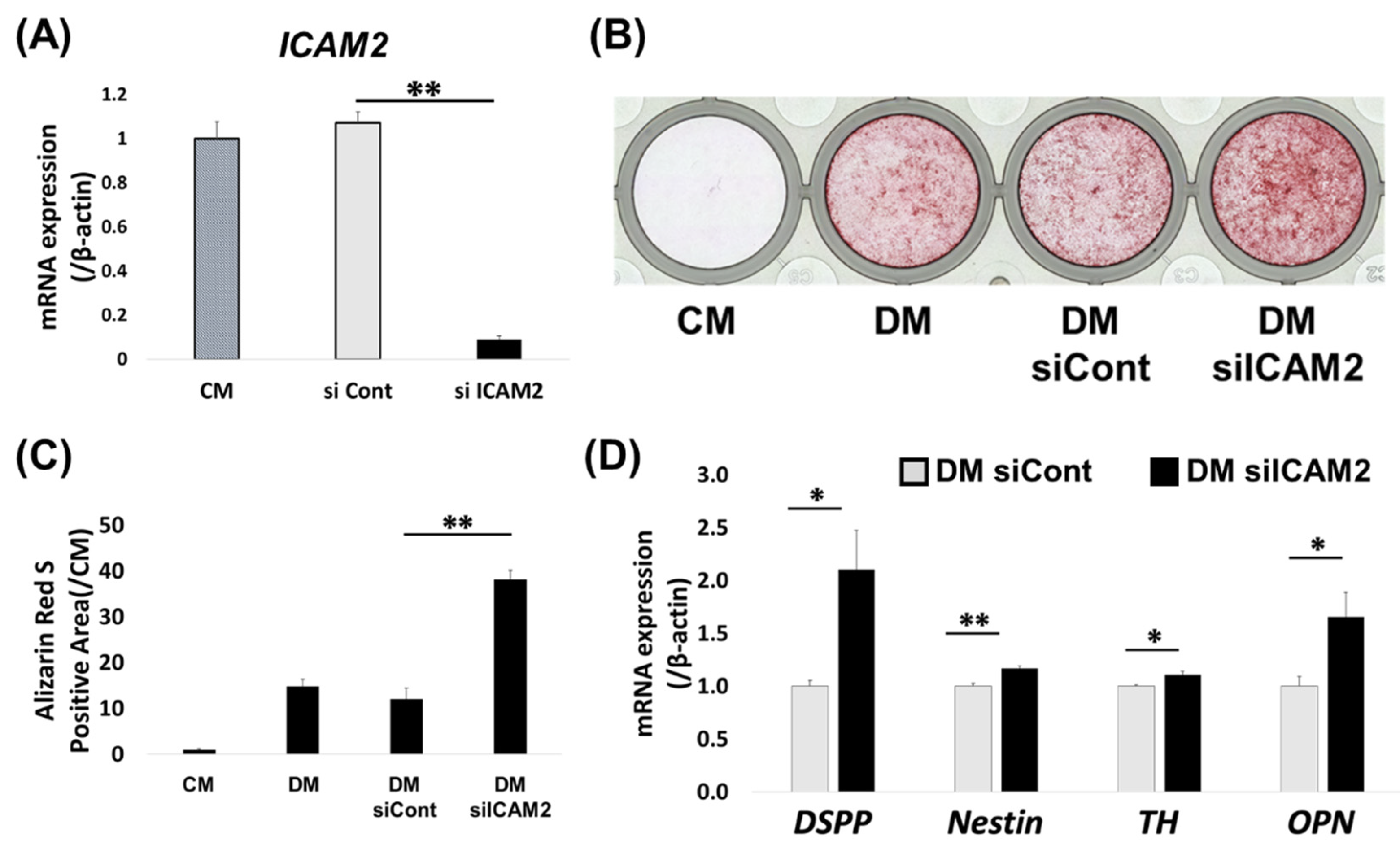 Preprints 173842 g003