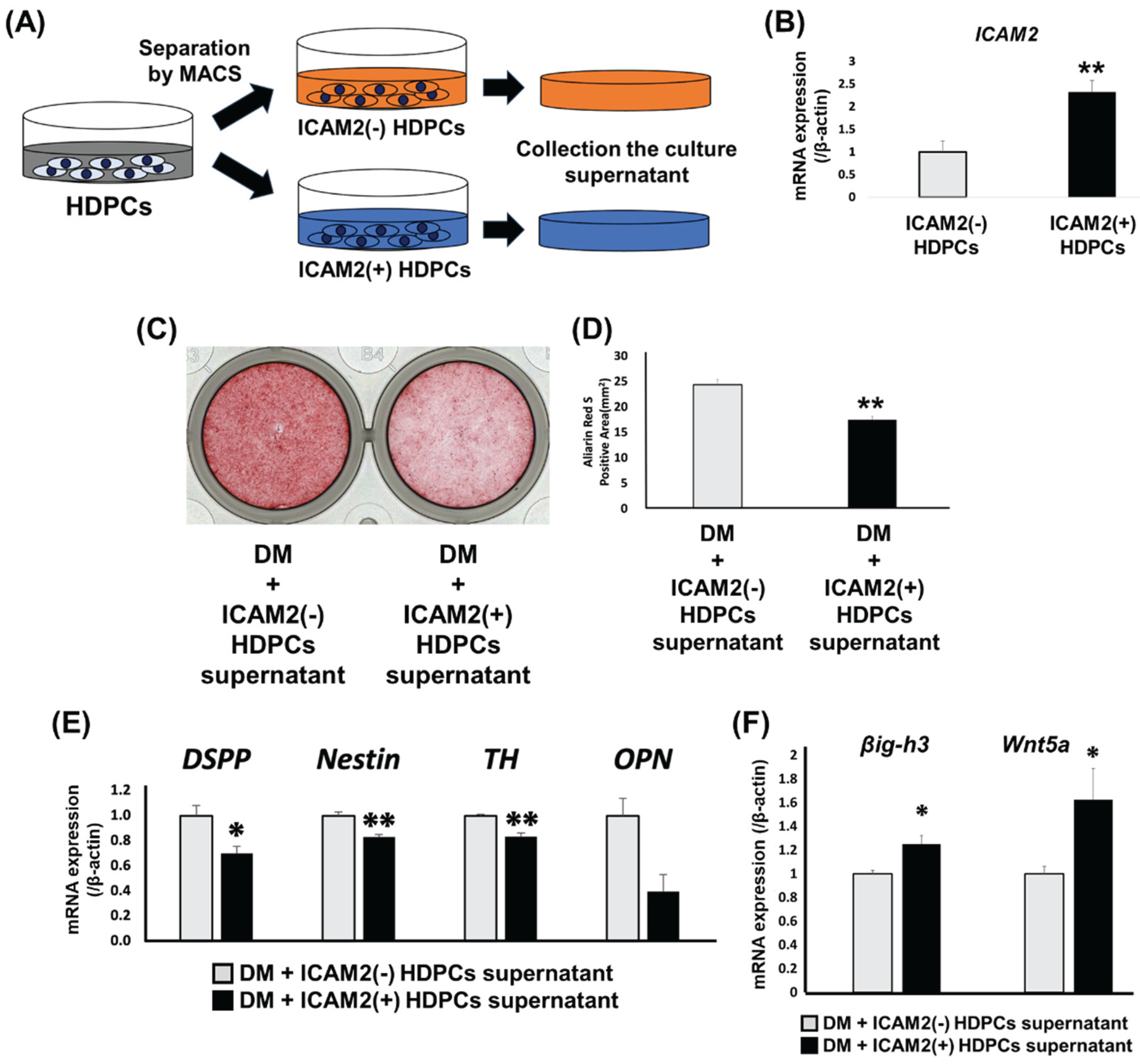 Preprints 173842 g004