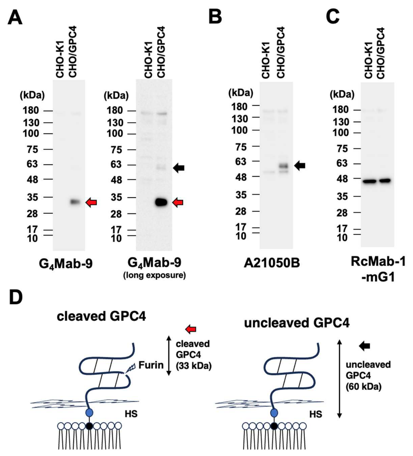 Preprints 219292 g006