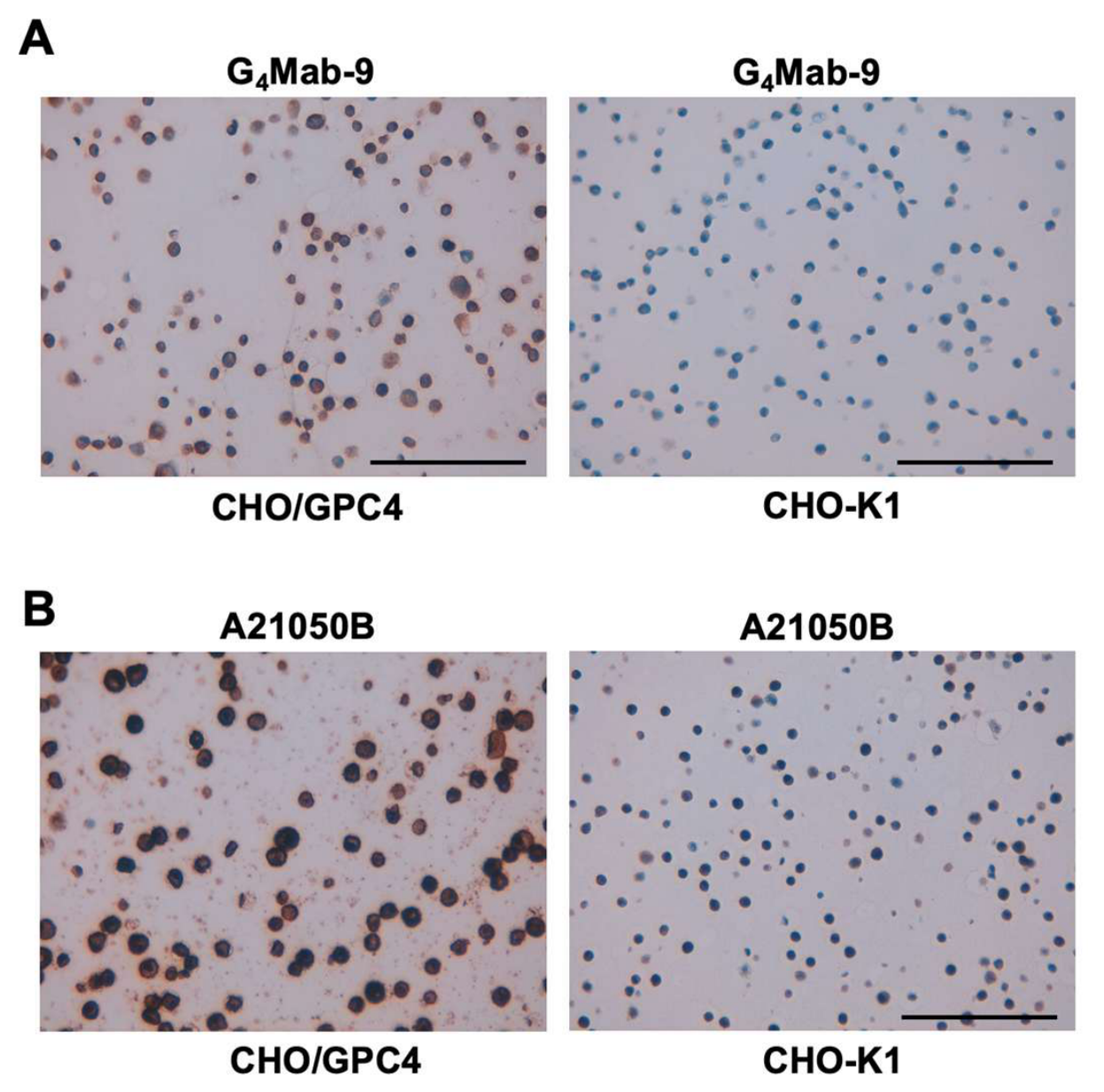 Preprints 219292 g007