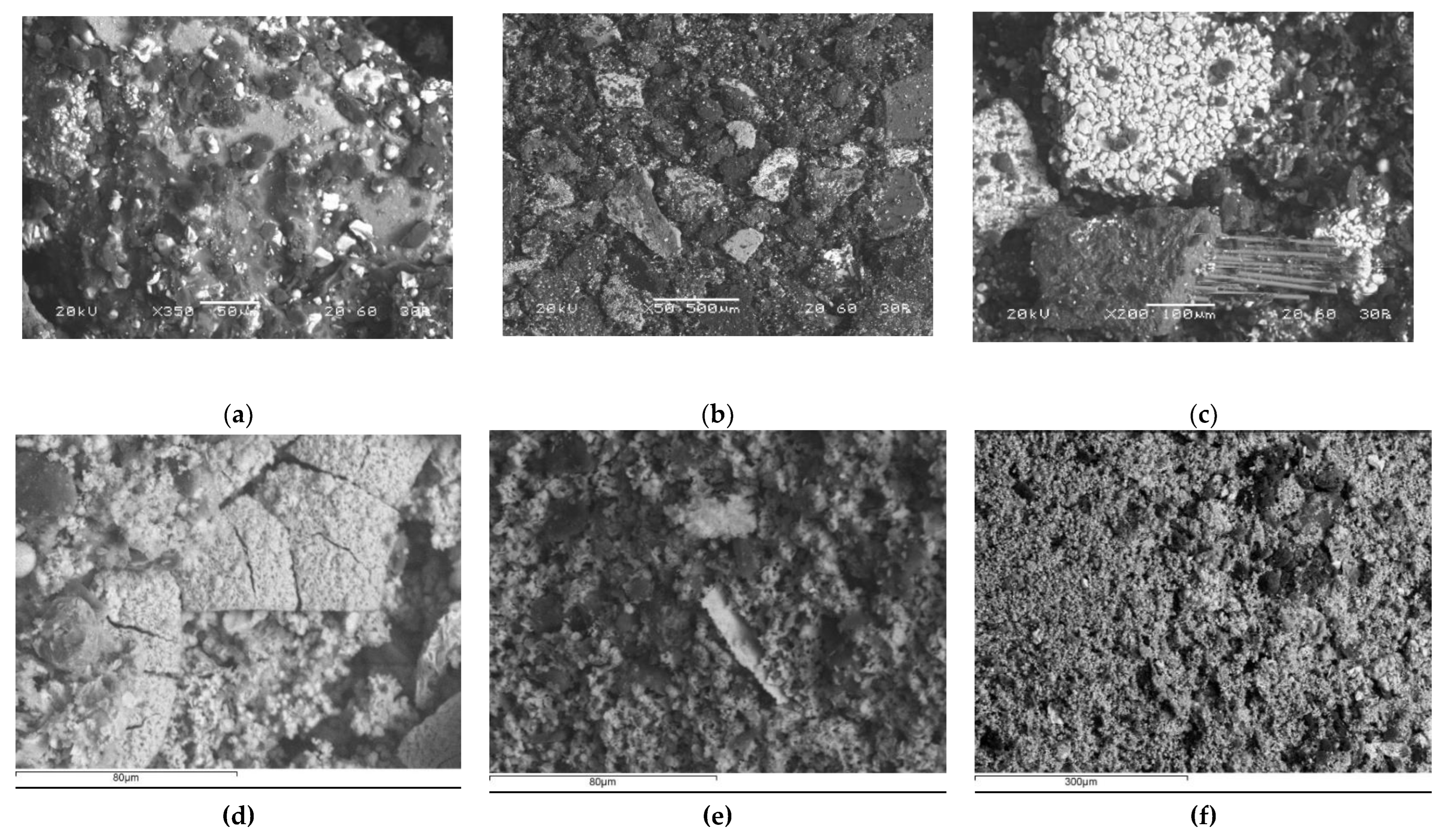 Preprints 195713 g001