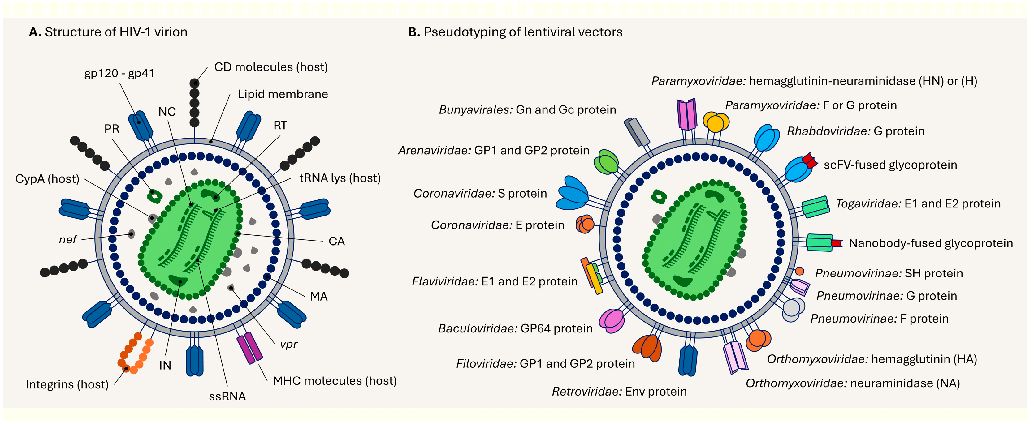 Preprints 159041 g005