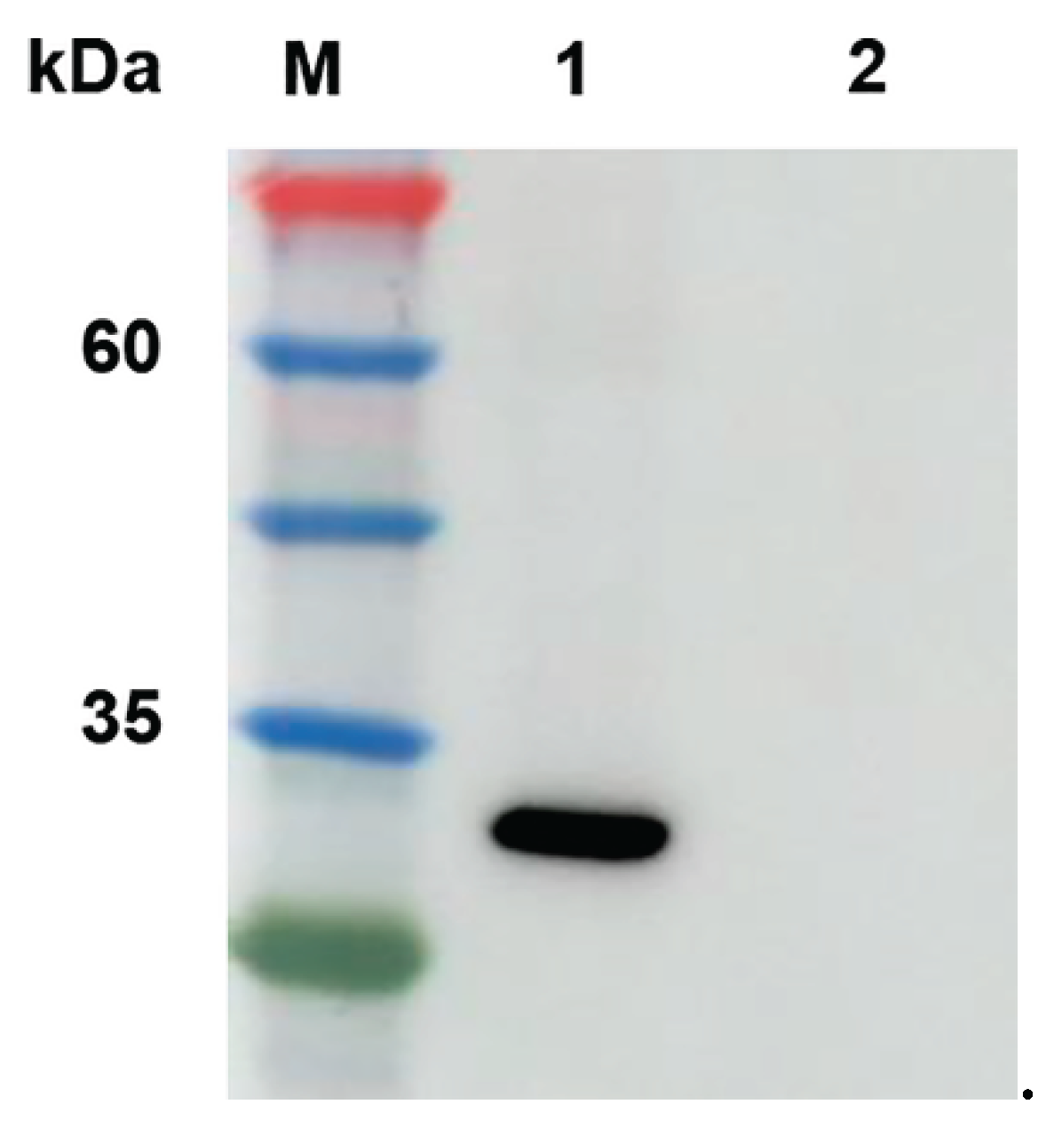 Preprints 185107 g001