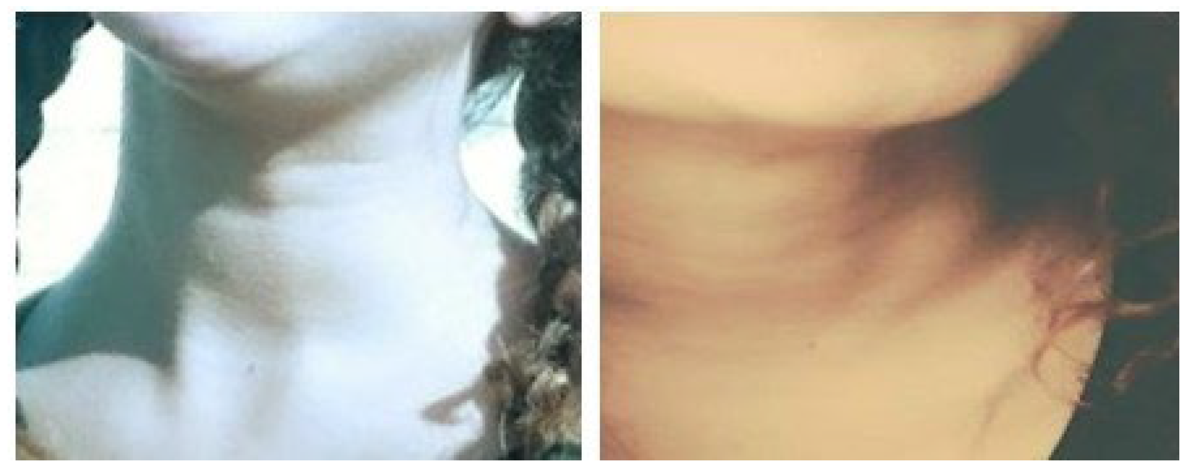 Preprints 173651 g001