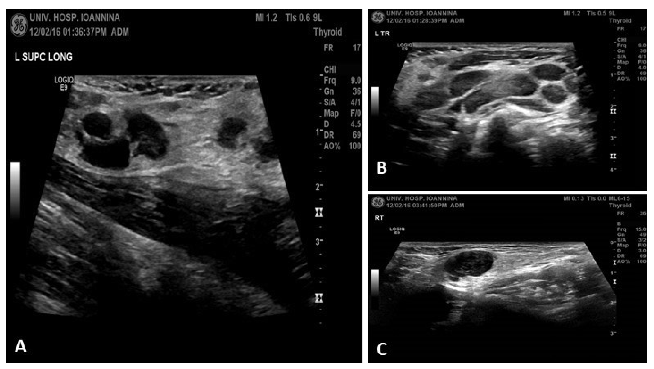 Preprints 173651 g002