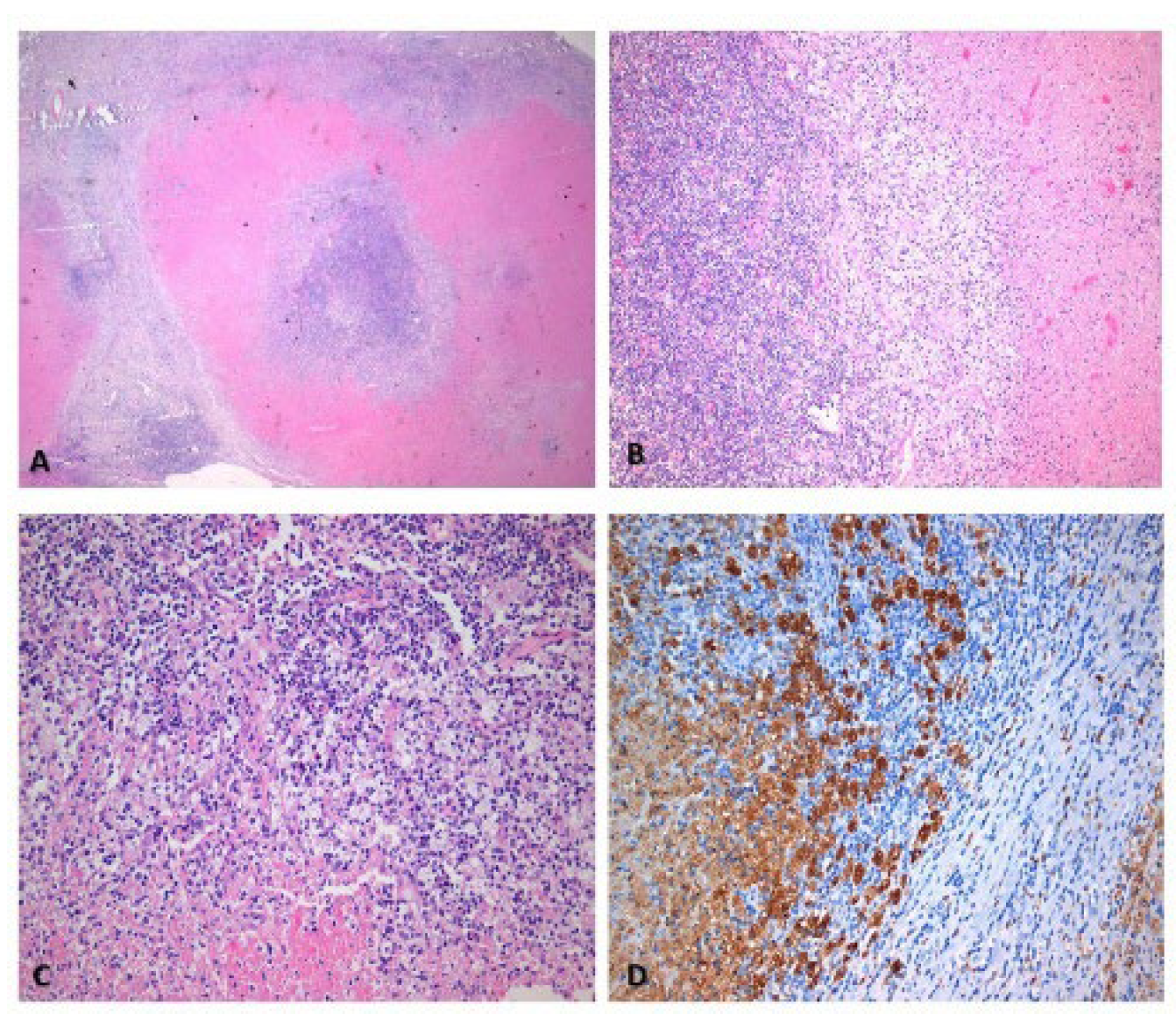 Preprints 173651 g004